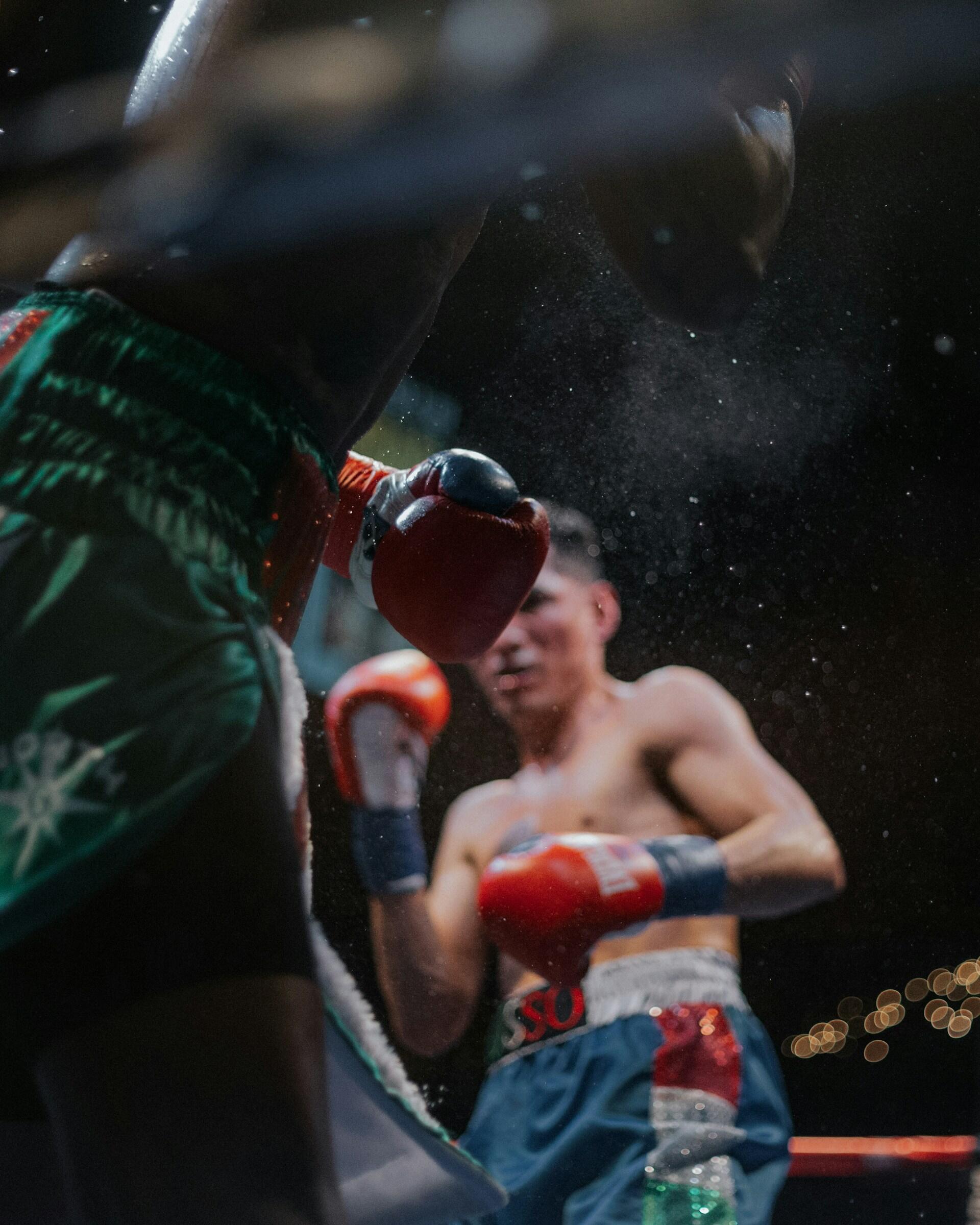los boxeadores más famosos