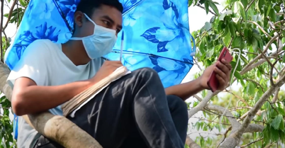 Chico en un árbol, buscando cobertura desde su celular, con sombrilla azul
