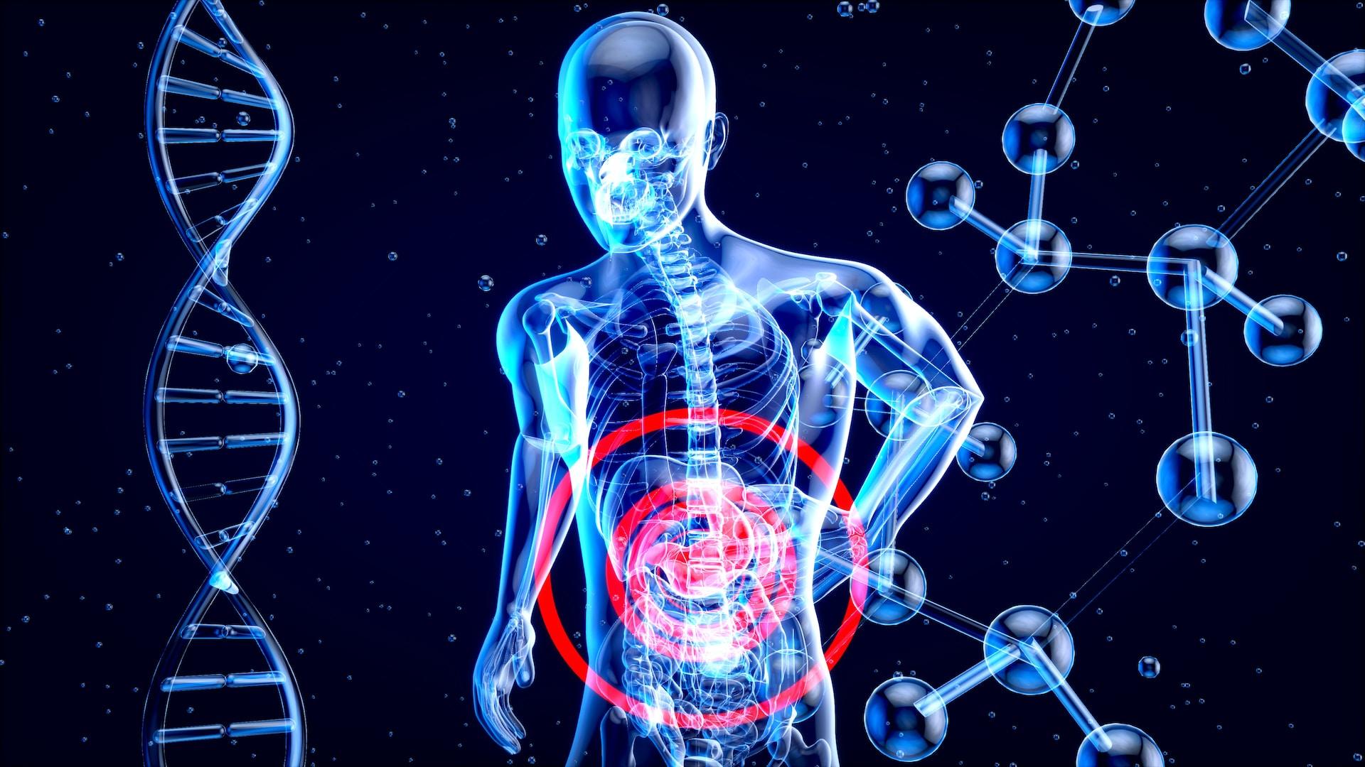 Silueta del cuerpo humano junto a una cadena de ADN.