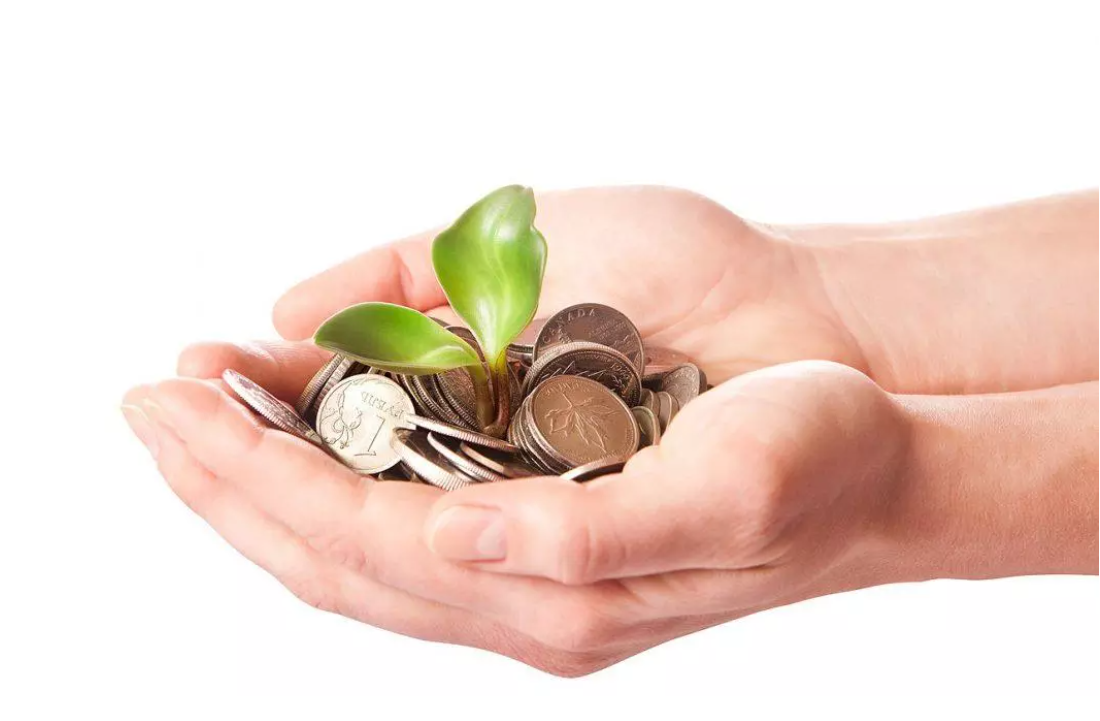 Planta con monedas que atrapan un par de manos
