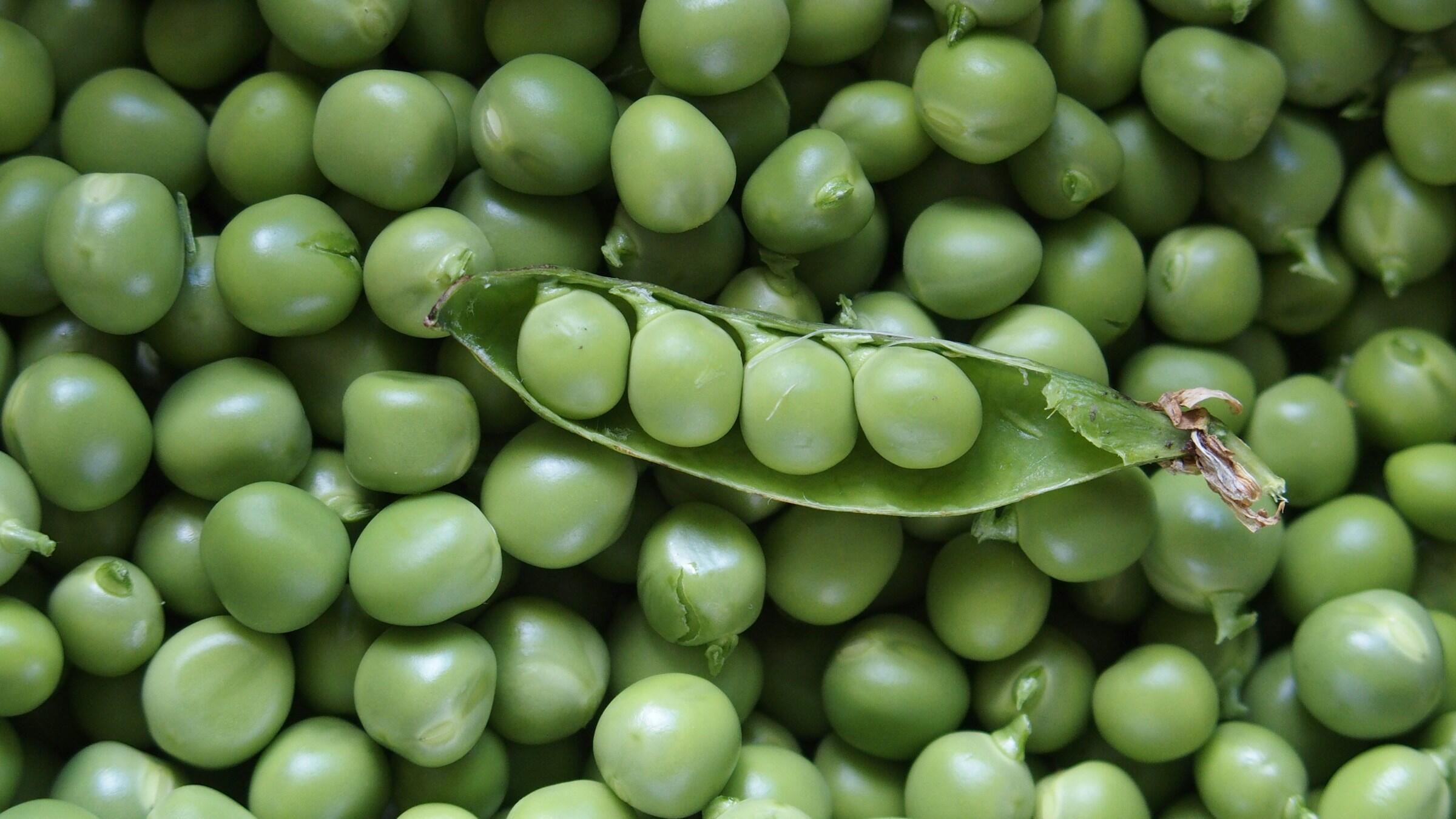 las flores de los guisantes se autopolinizan fácilmente