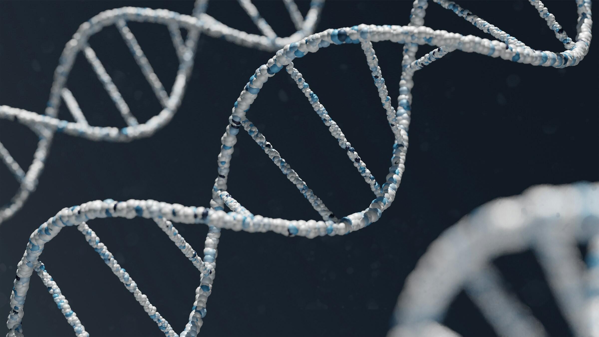 El legado de Mendel es uno de los más fascinantes de la historia de la ciencia.