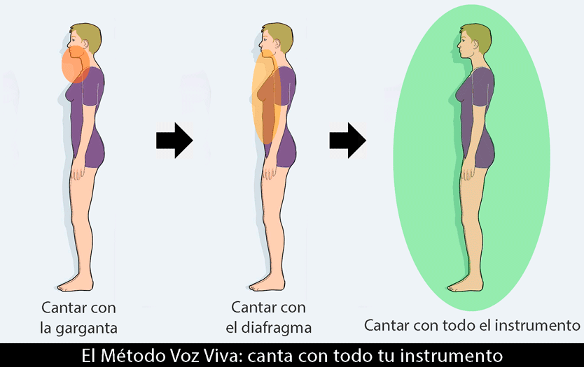 Representación gráfica de los tres puentes de la voz: garganta, diafragma y completa