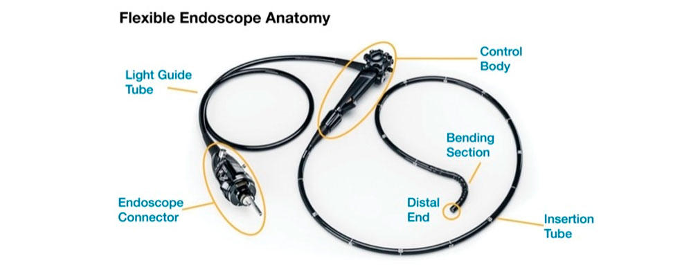Fotografía de un endoscopio flexible con sus partes señaladas