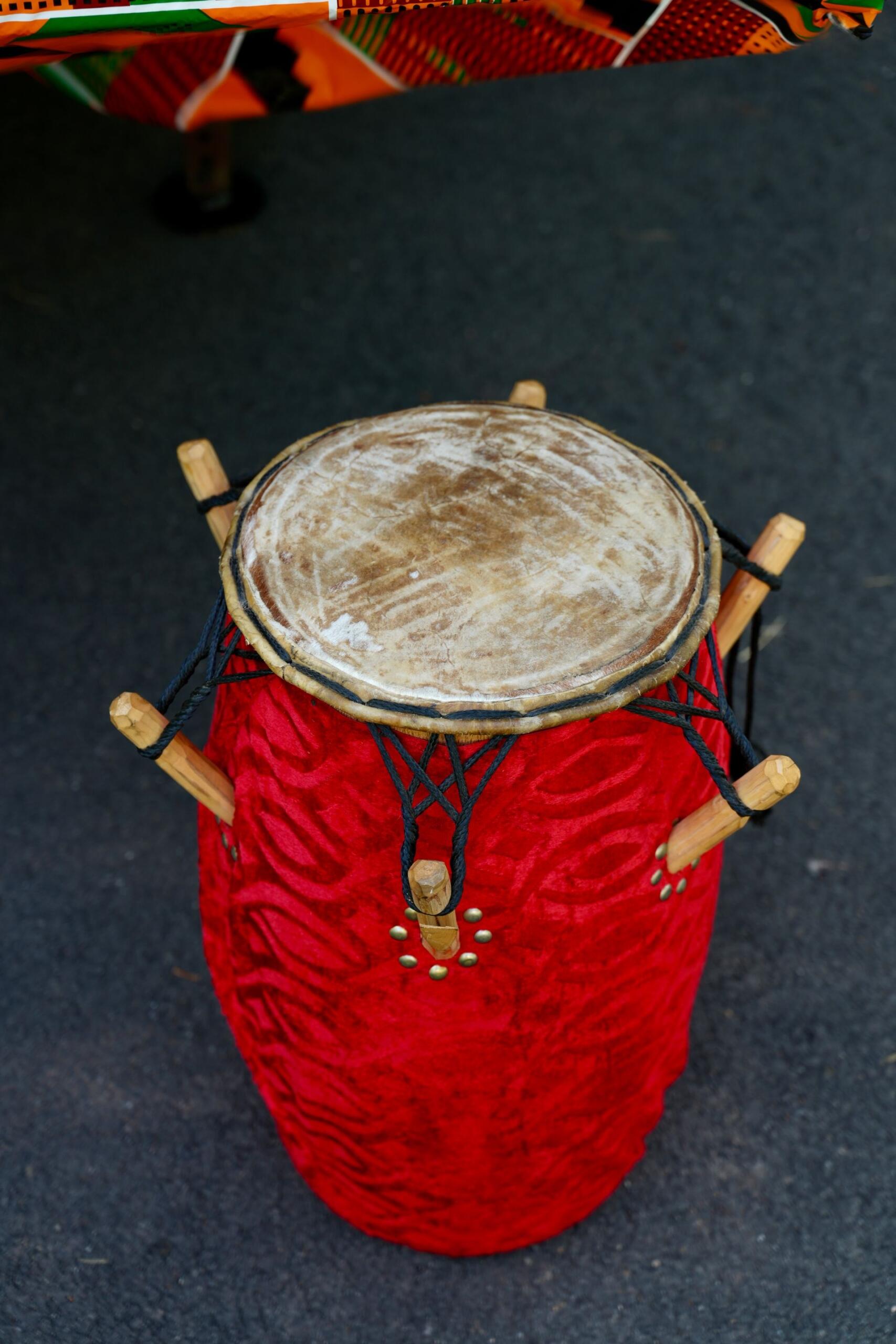 Los tambores del mapale