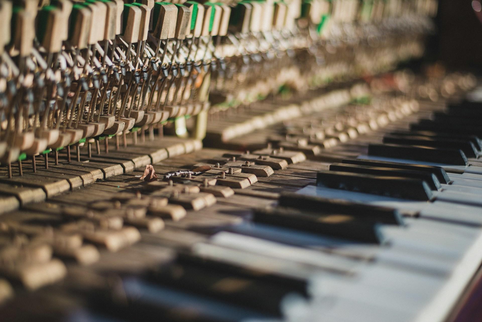 El piano es, de hecho, un instrumento de percusión