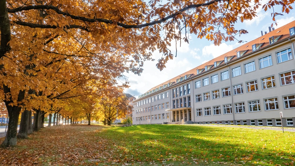 Campus de Universidad con arboles