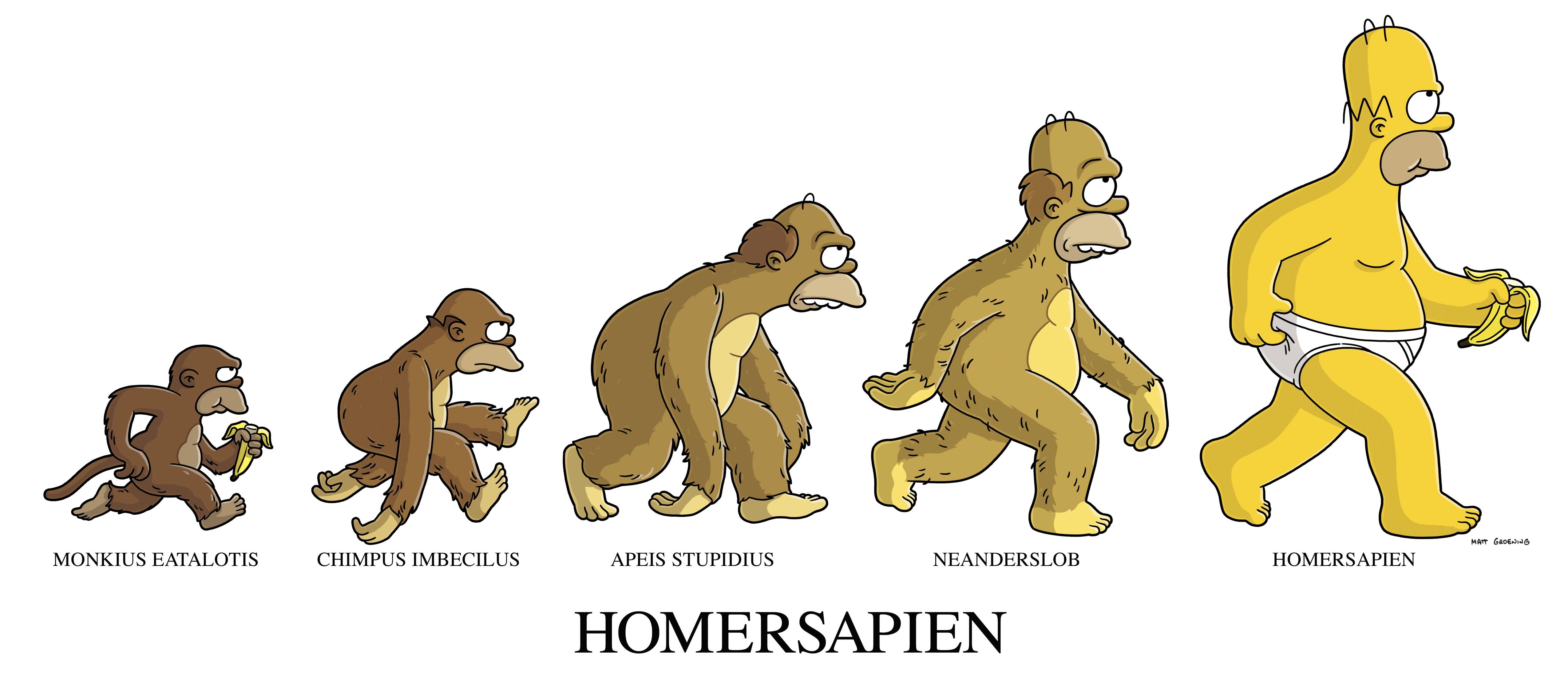 Homero en la evolución del mono al hombre