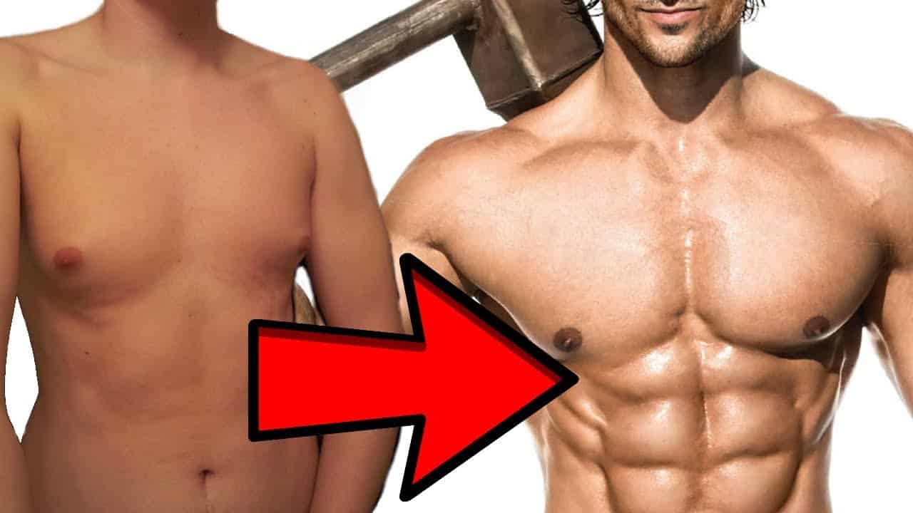 Comaparcion de un torso sin muscular y uno musculado