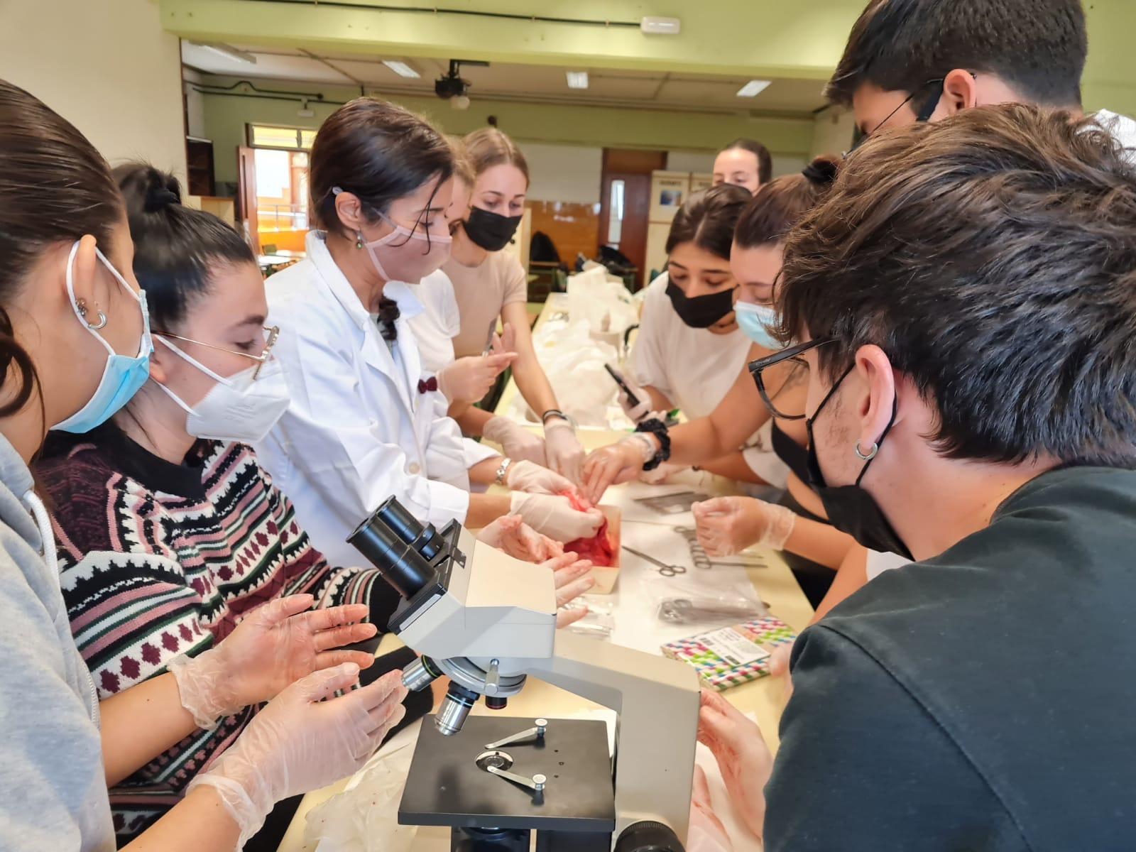 Estudiantes de biología, tomando clases en el laboratorio de la facultad.