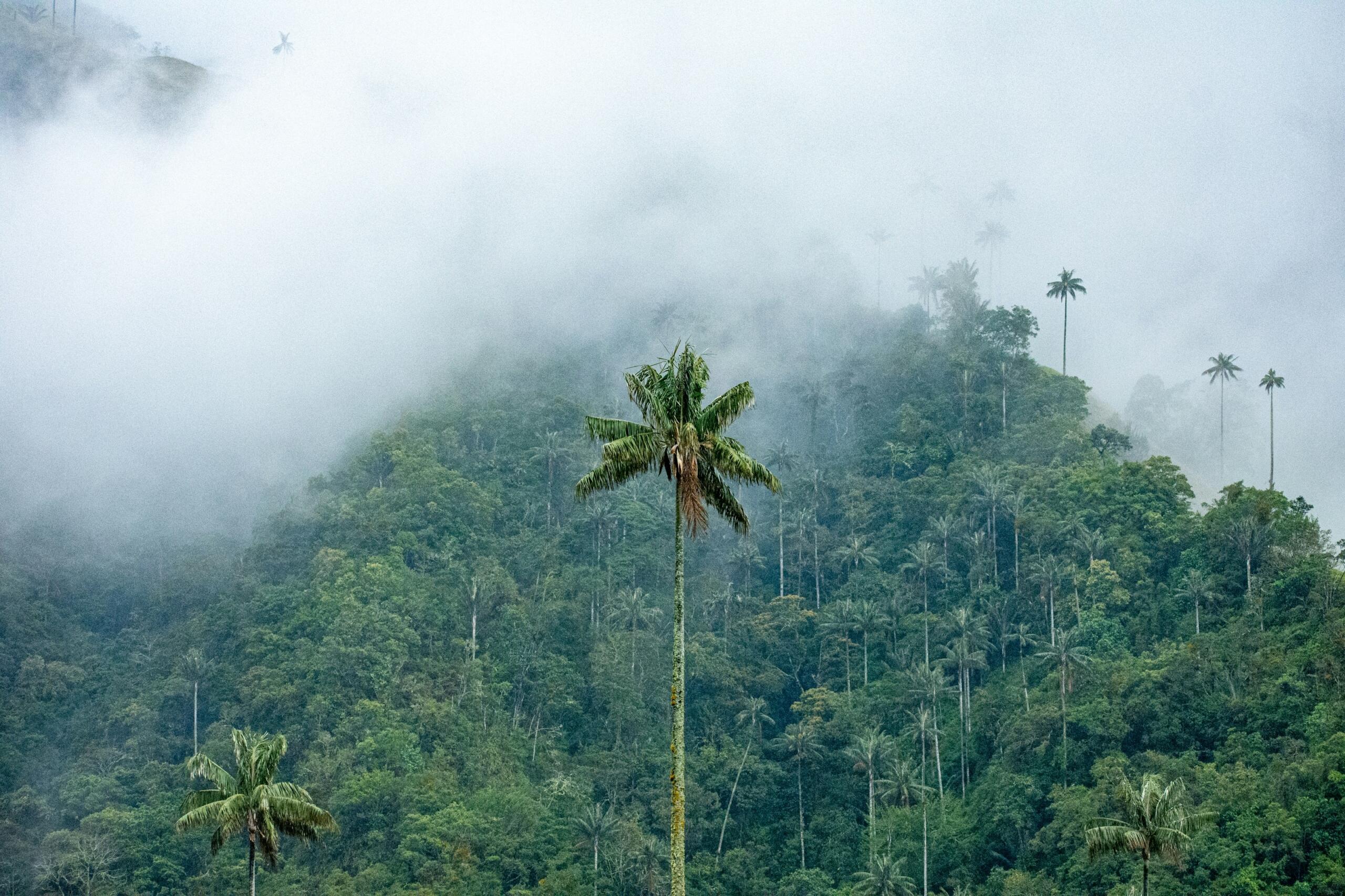 biologia carrera colombia