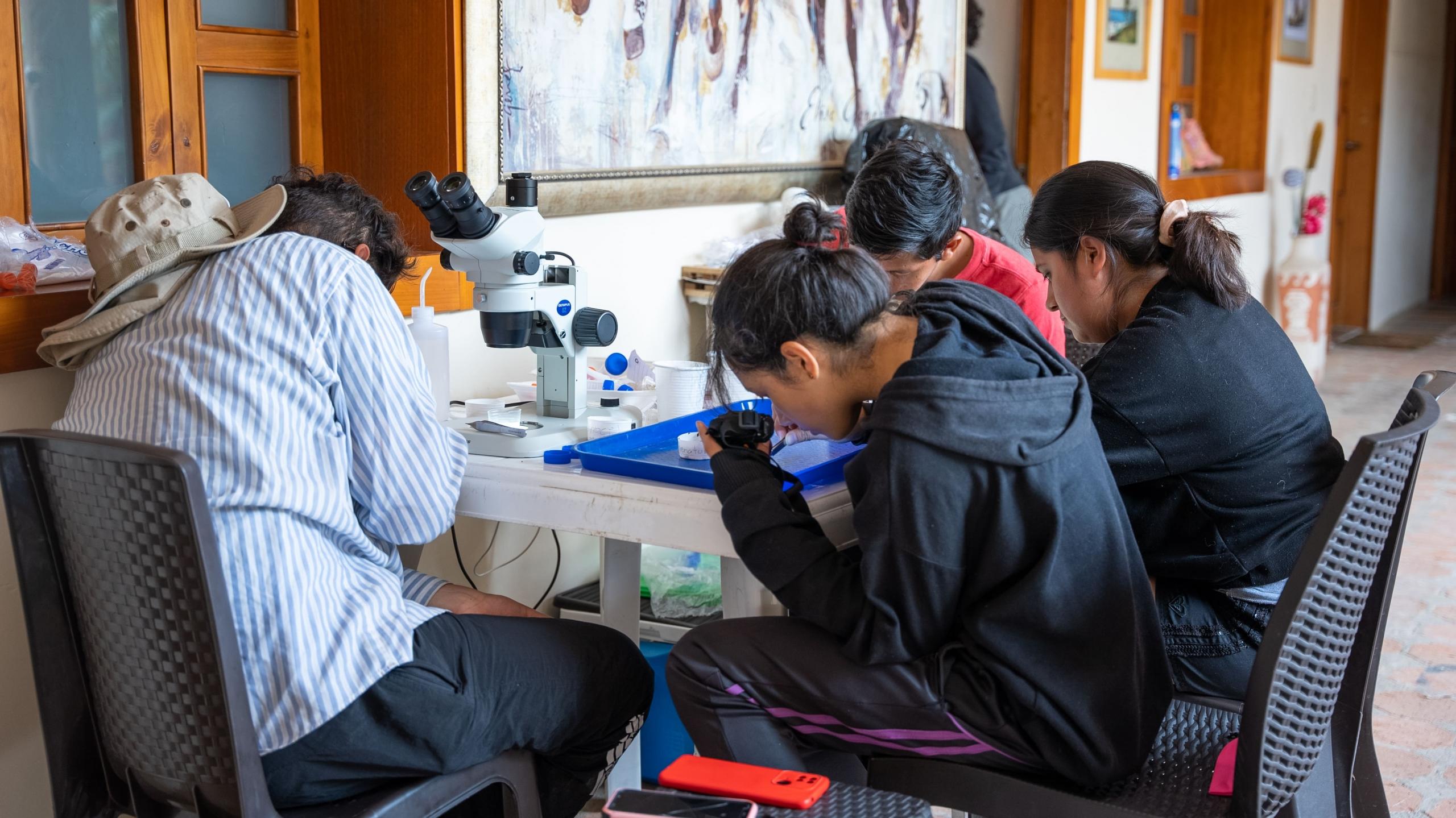 Estudiantes en un laboratorio estudiando muestras.