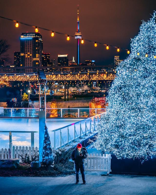 Vista de Harbourfront center en invierno