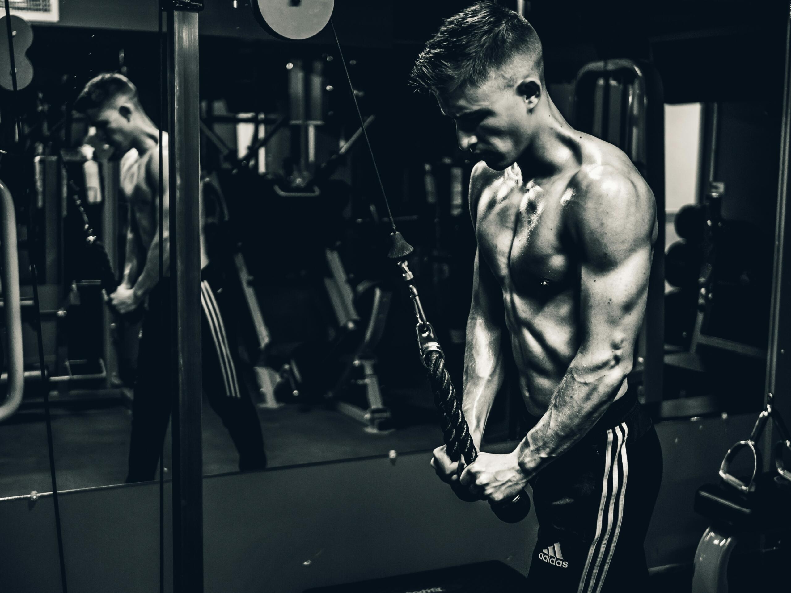 ¿Cuáles son las máquinas de gimnasio más comunes?