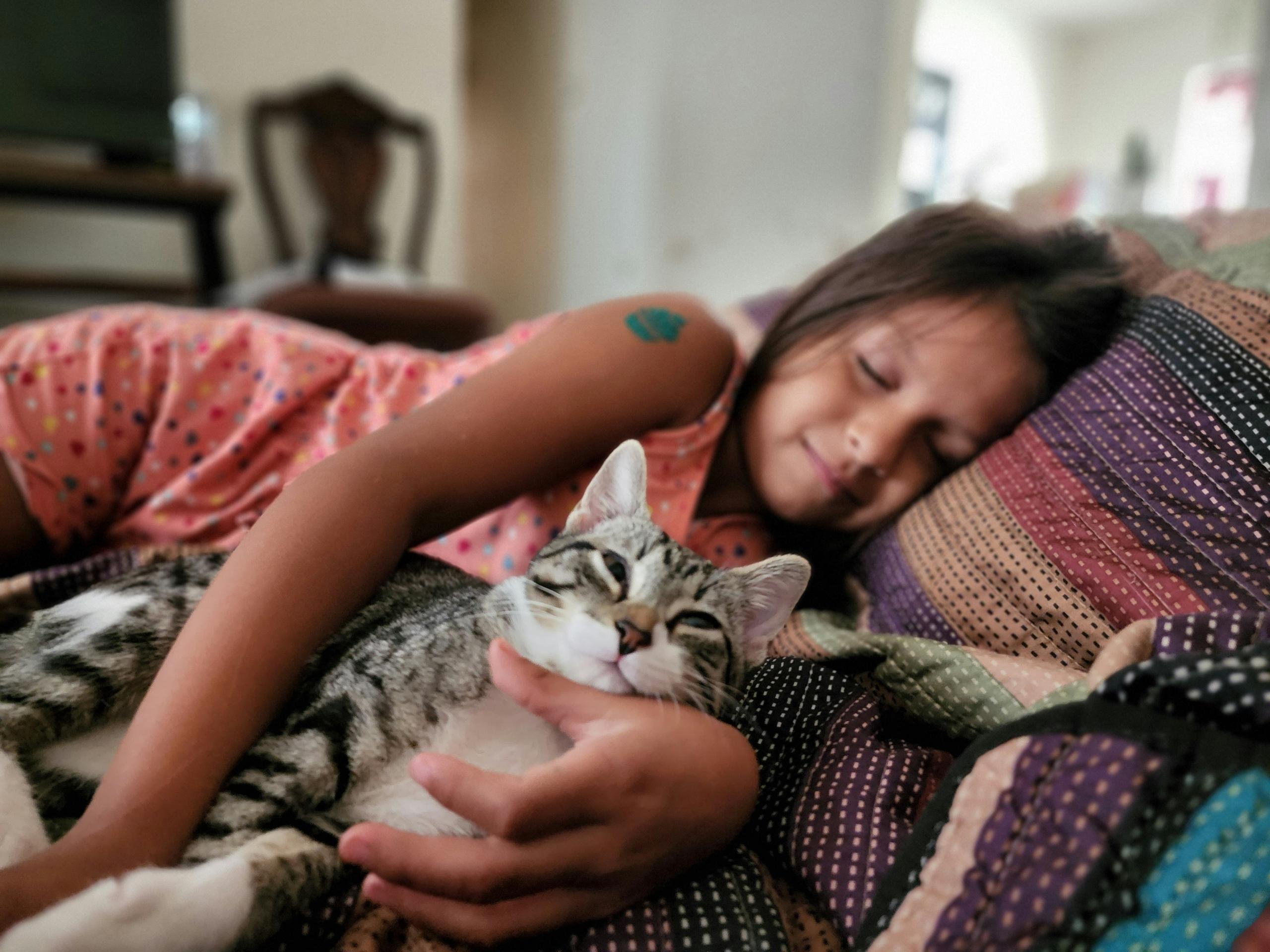 La fotografía muestra a una niña dormida abrazando a su gato en un momento tranquilo y sereno.