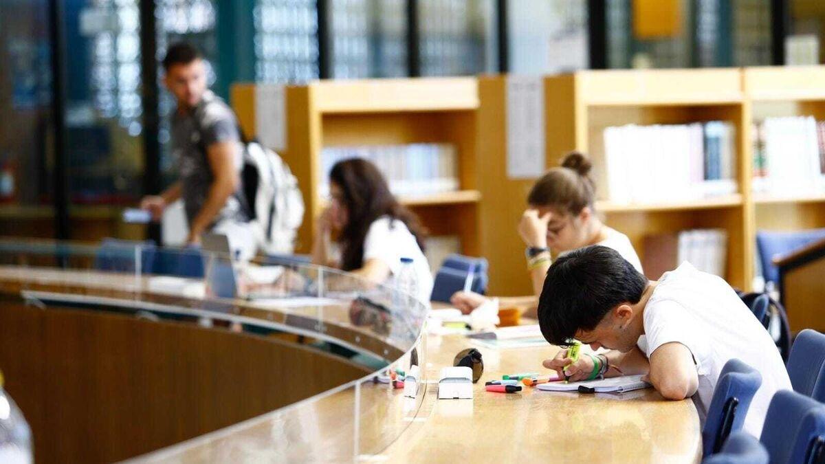 La biblioteca puede ser un lugar óptimo para escribir una tesis universitaria
