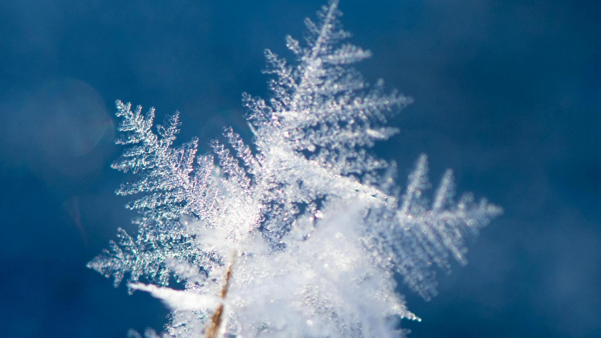 Imagen de un copo de nieve en detalle