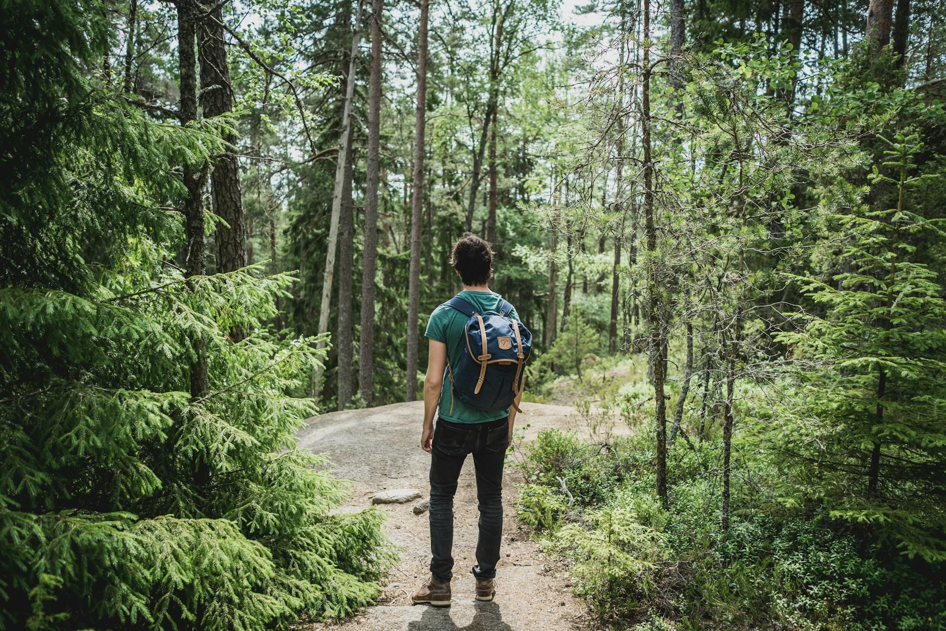 La histórica Vía de la Plata, la ruta más larga y antigua del Camino de Santiago. 
