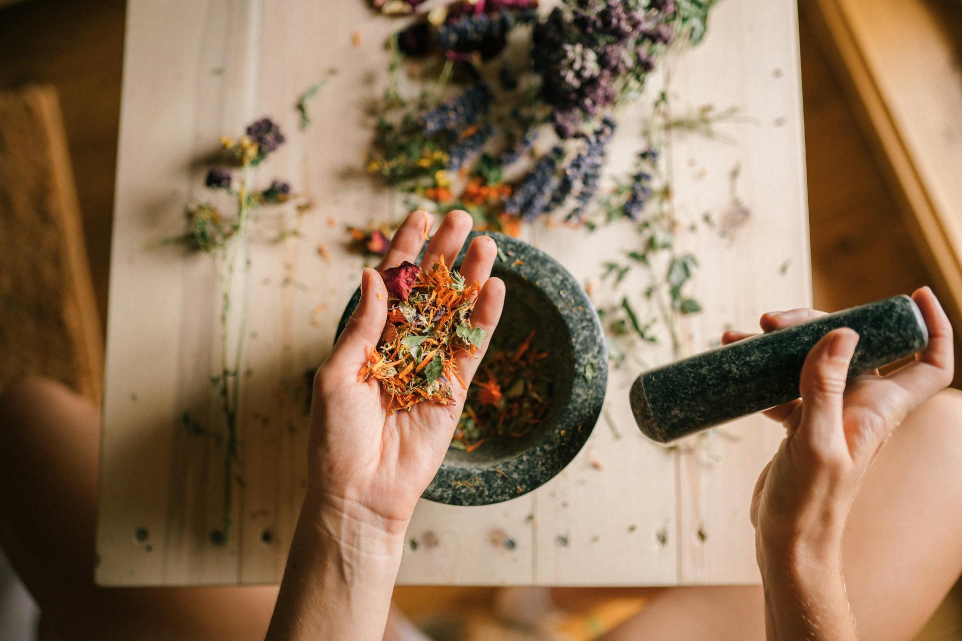 Plantas medicinales para la fiebre