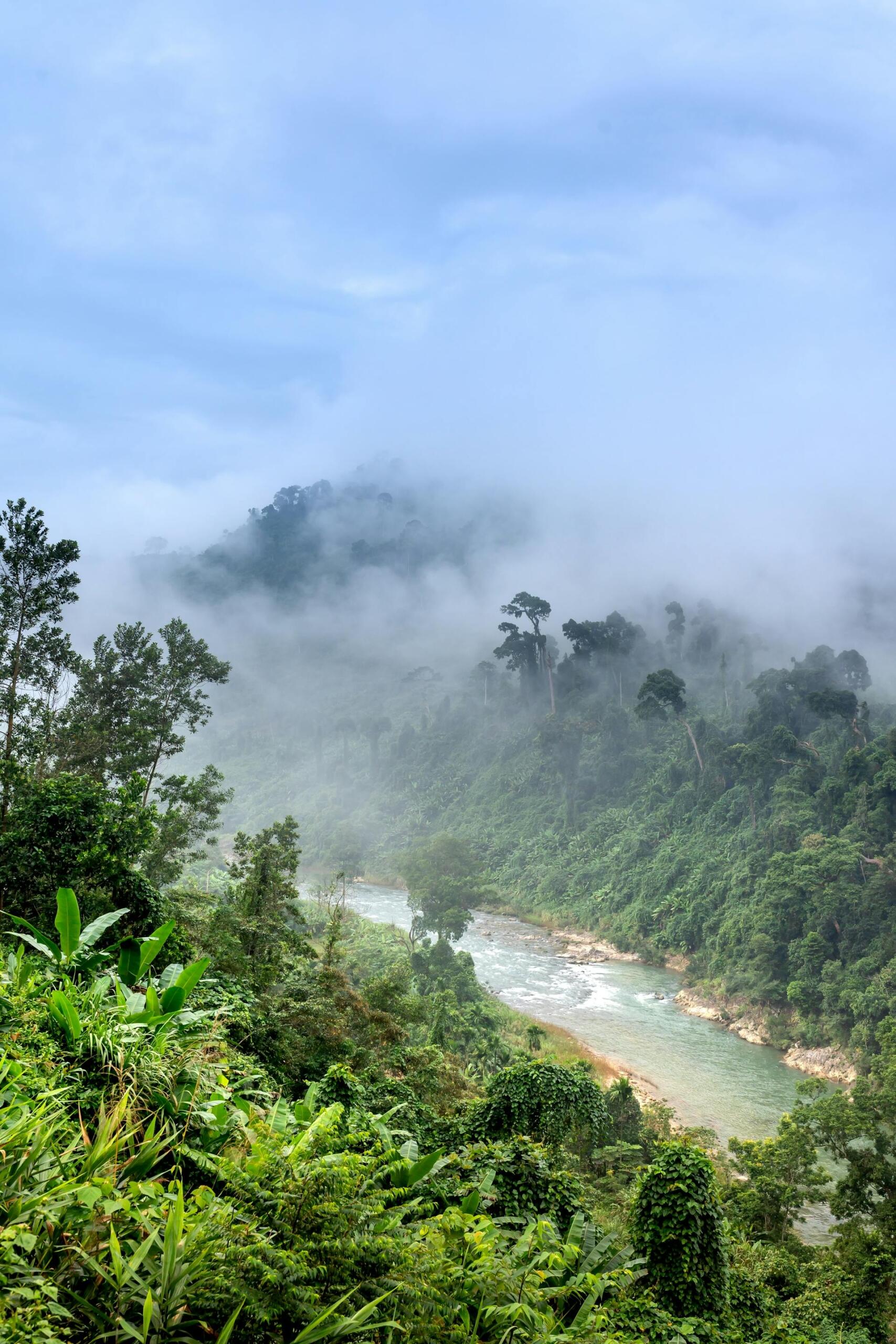 Región Pacifíco colombiano