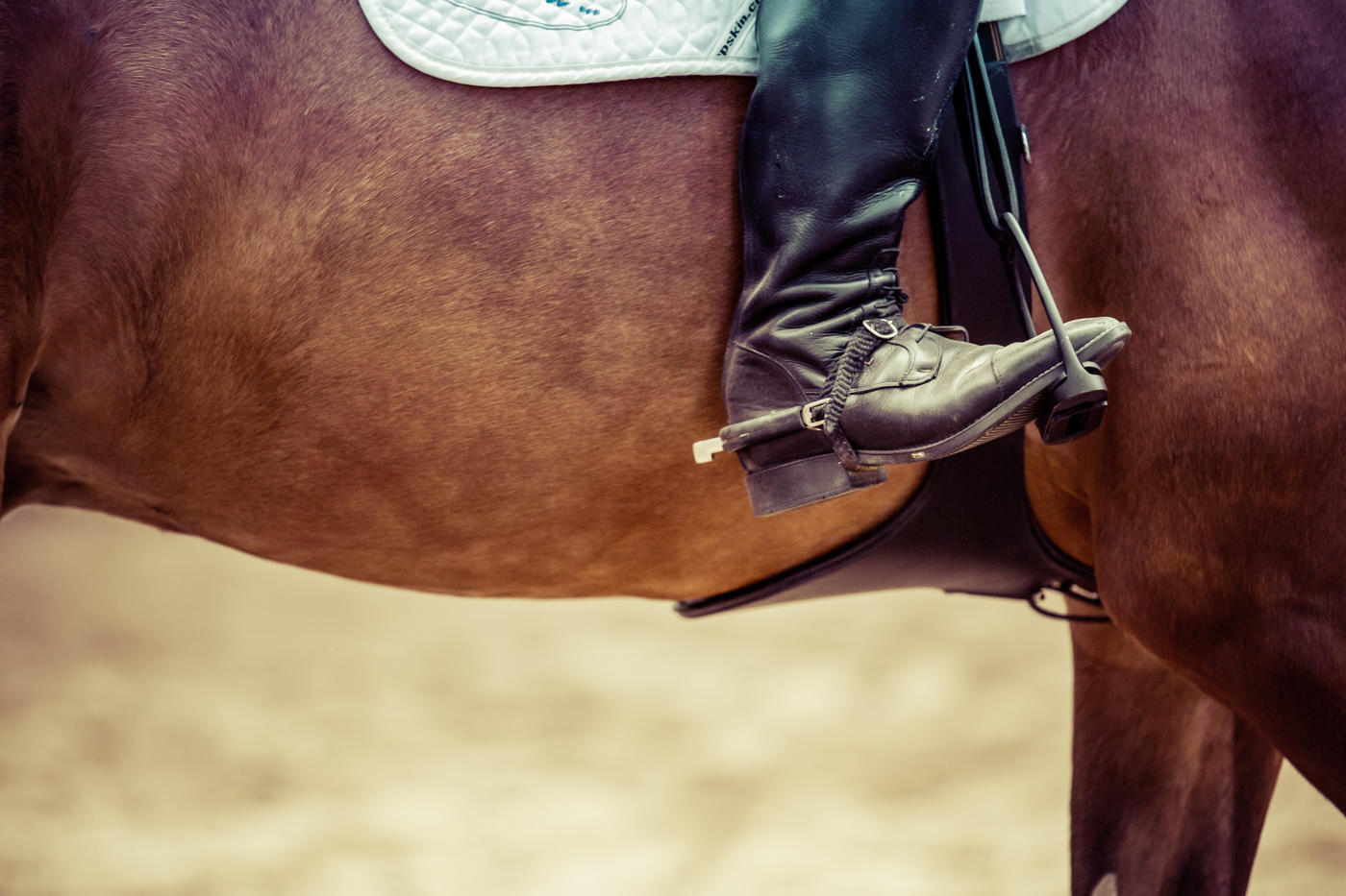 Descubre la historia de los cowboys.
