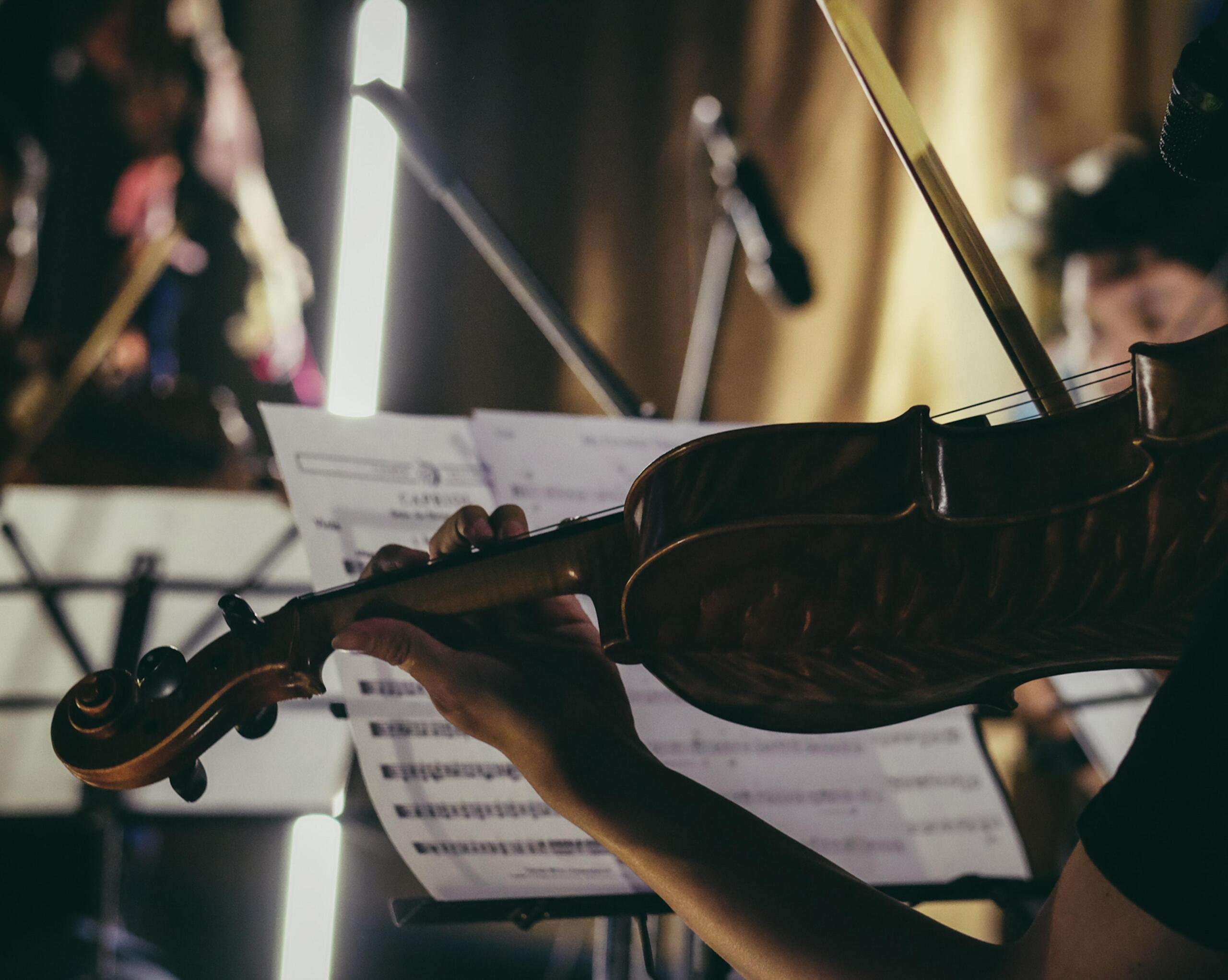 precios violin para niños
