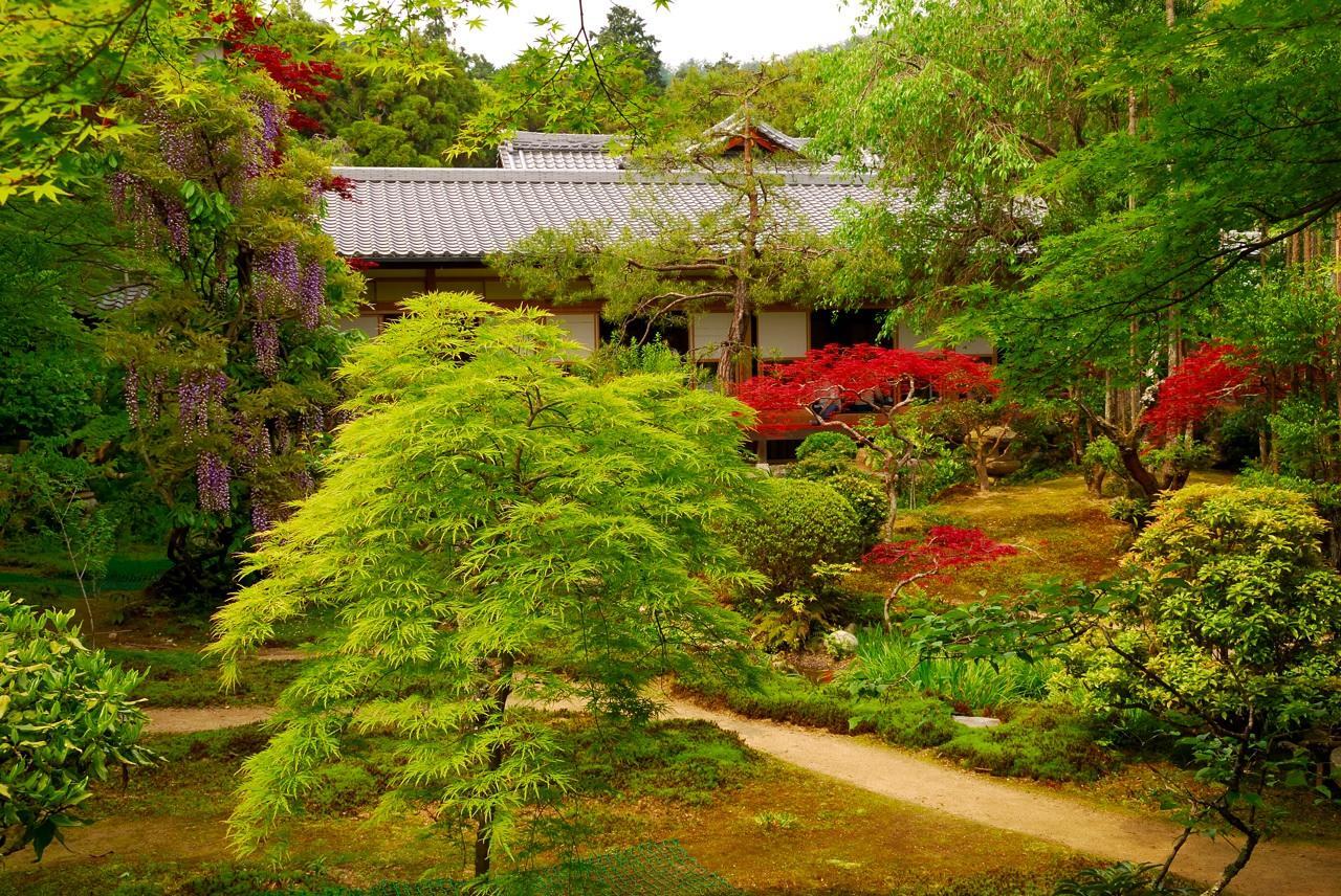 un profesor y sus cualidades