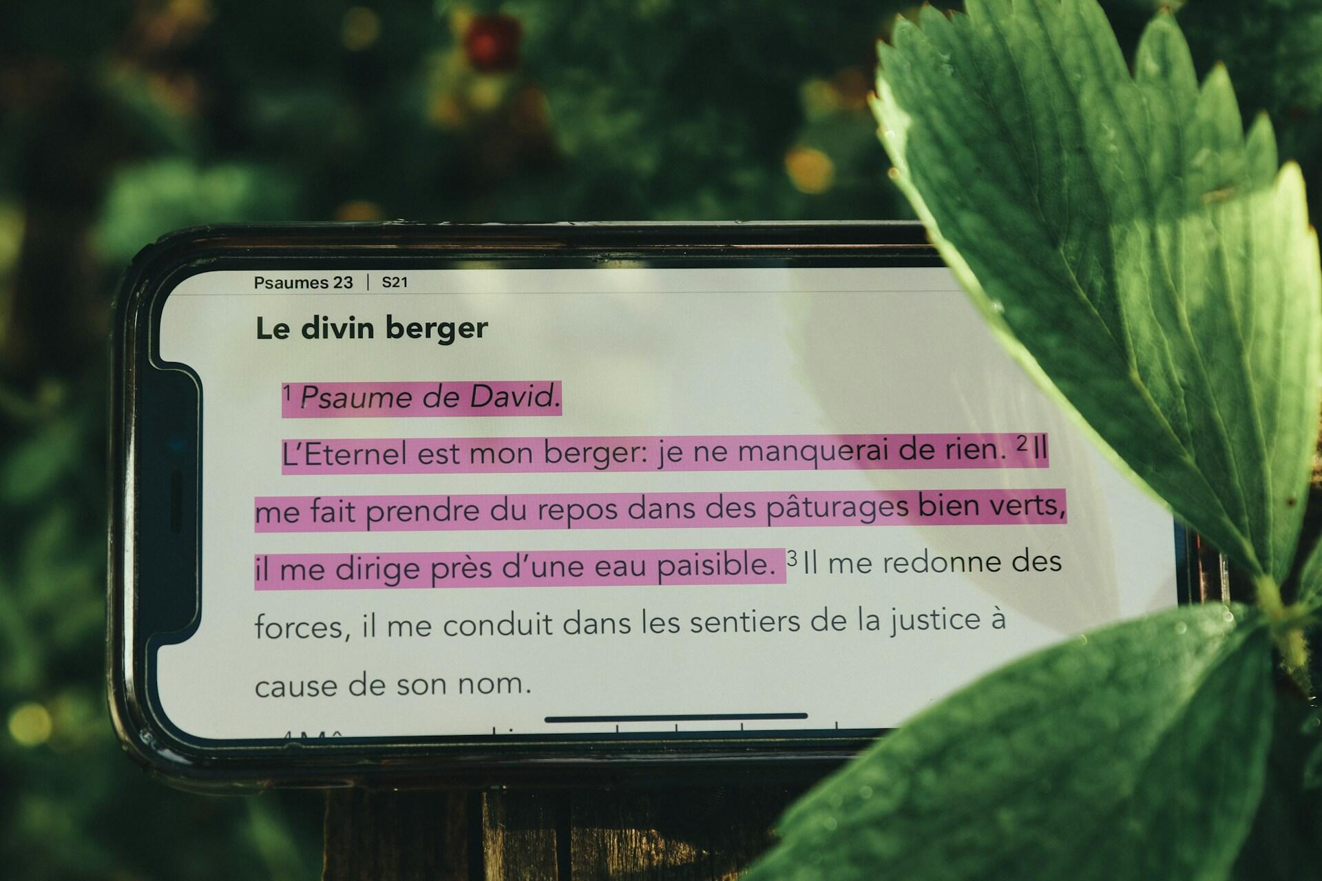No necesitas vivir en Francia para hablar como un parisino