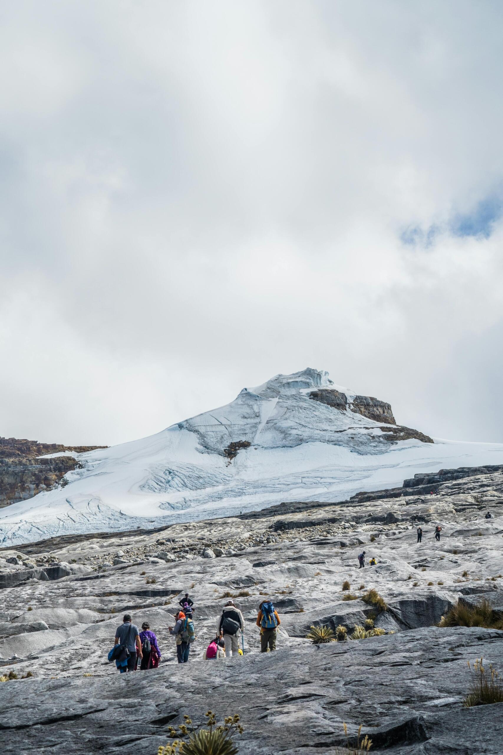 La conservación de la flora es igualmente prioritaria. 