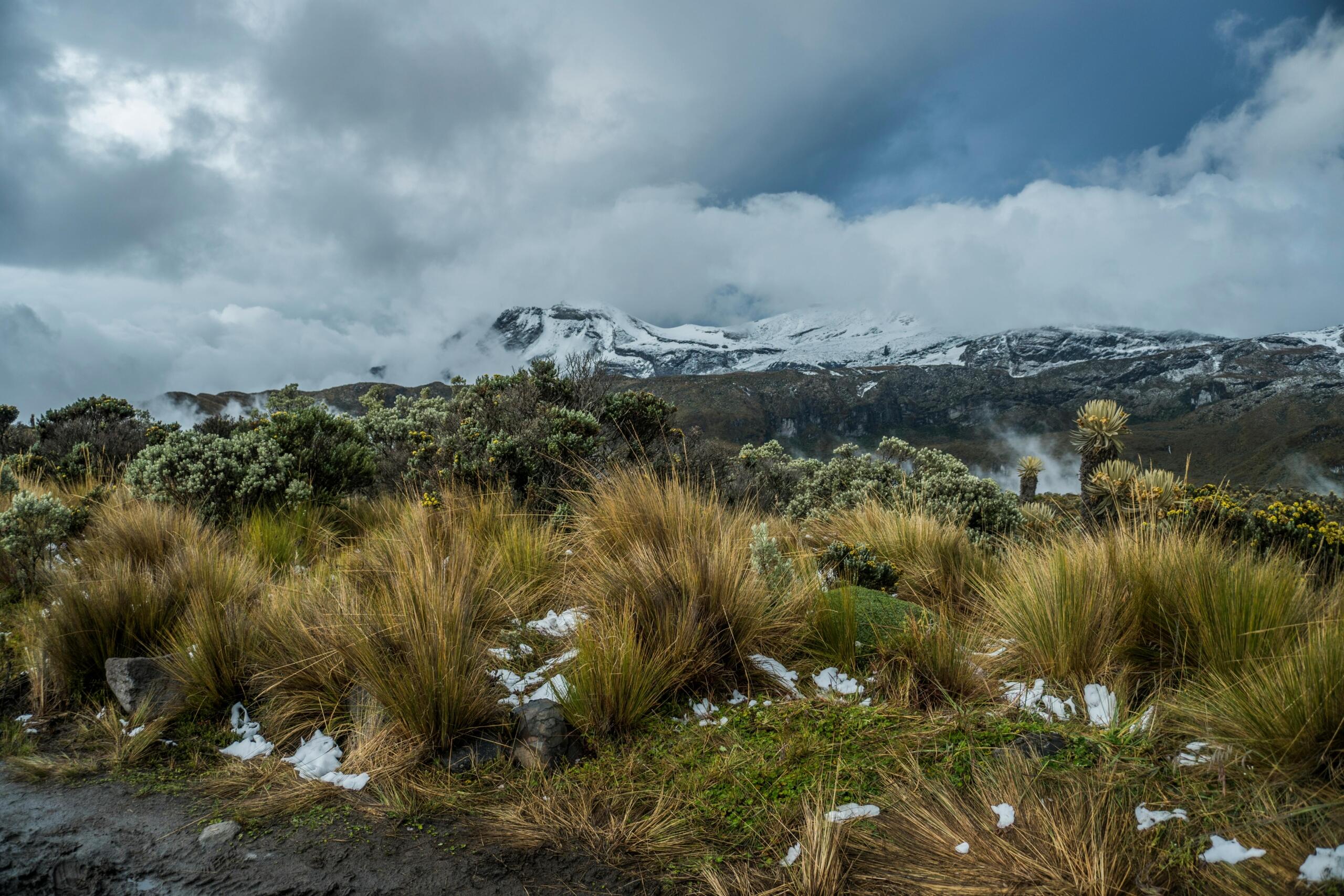 Manizales, Caldas, Colombia  