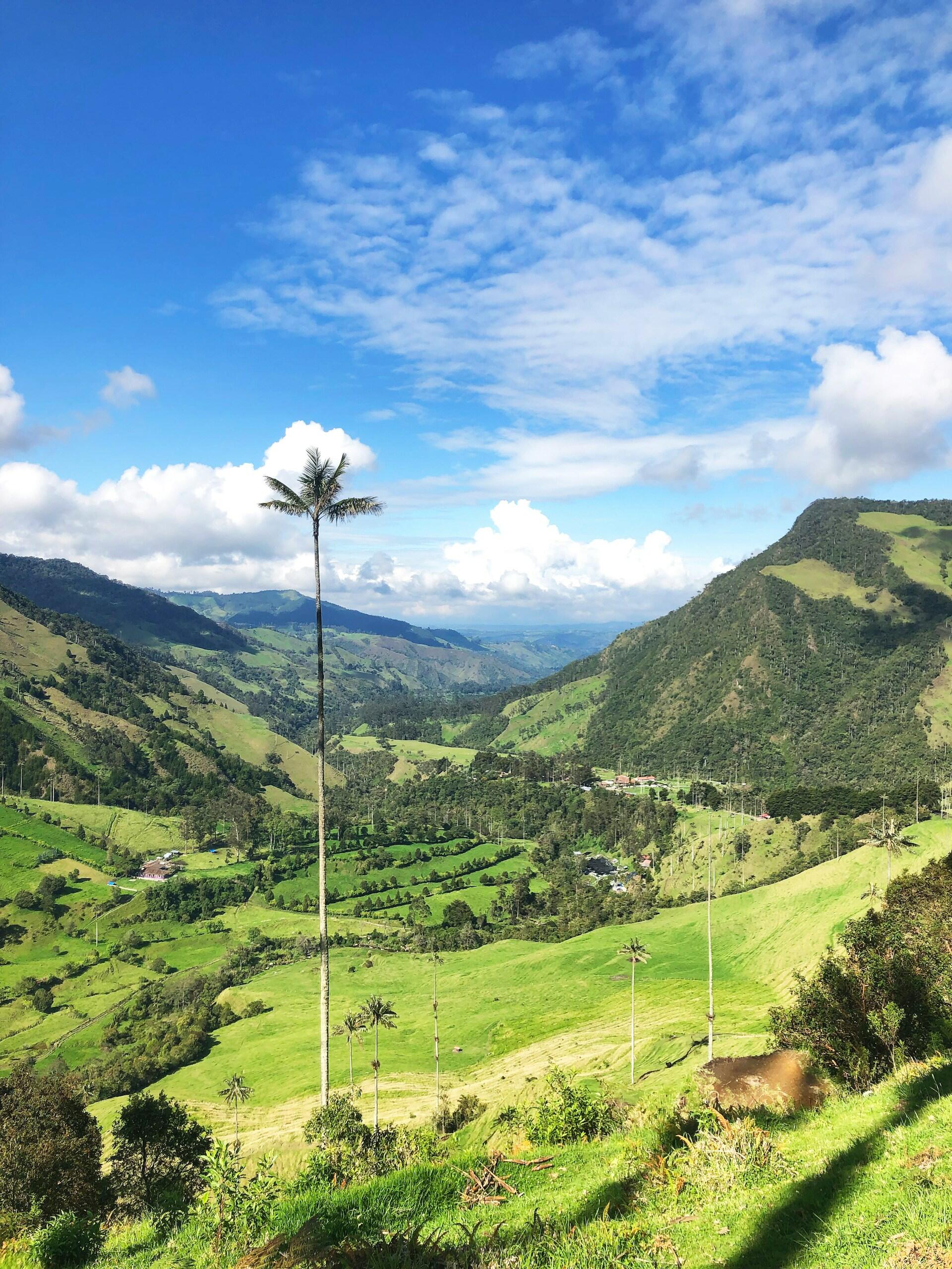 valle del cocora