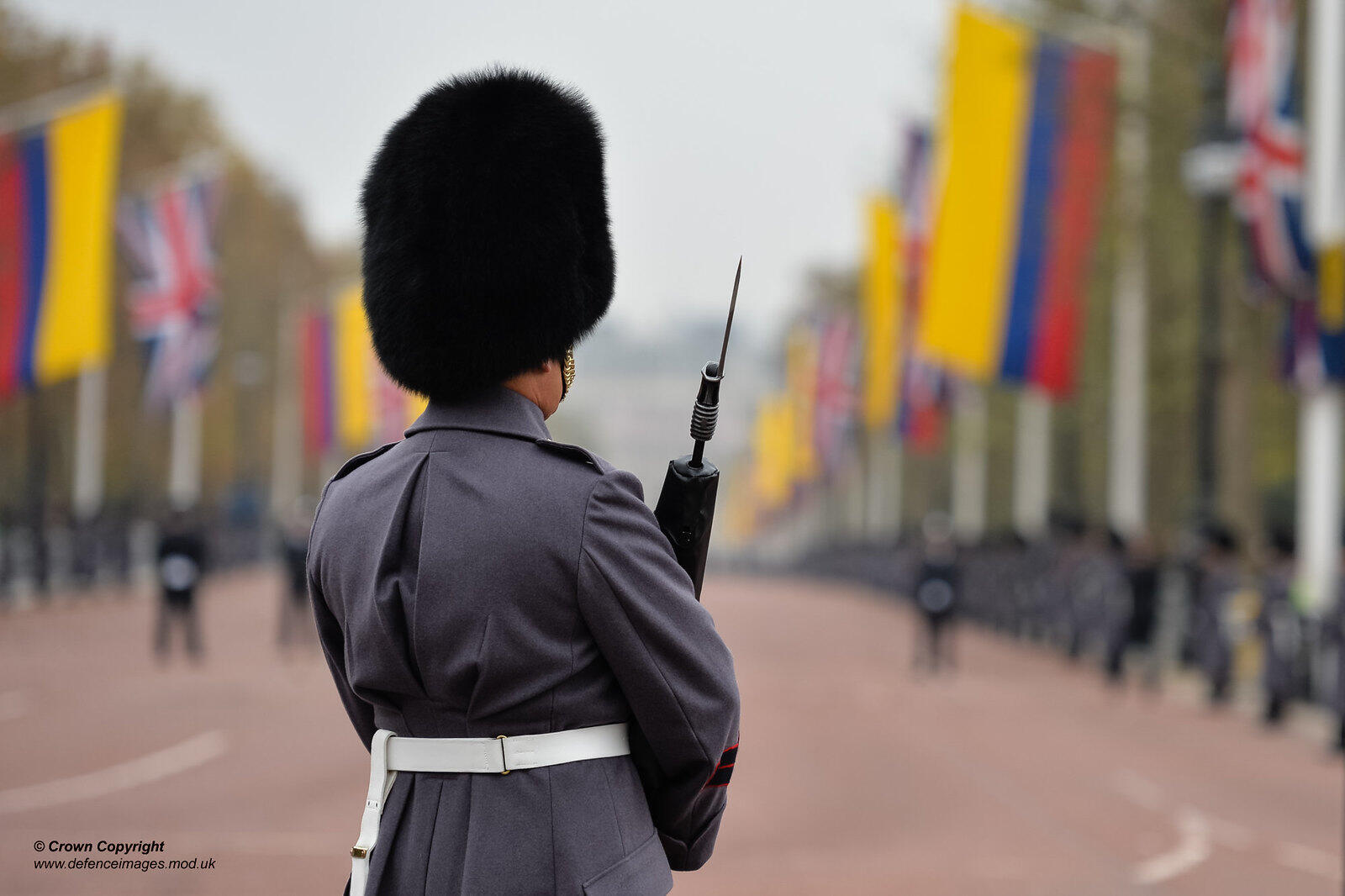 presientes de colombiapresientes de colombia