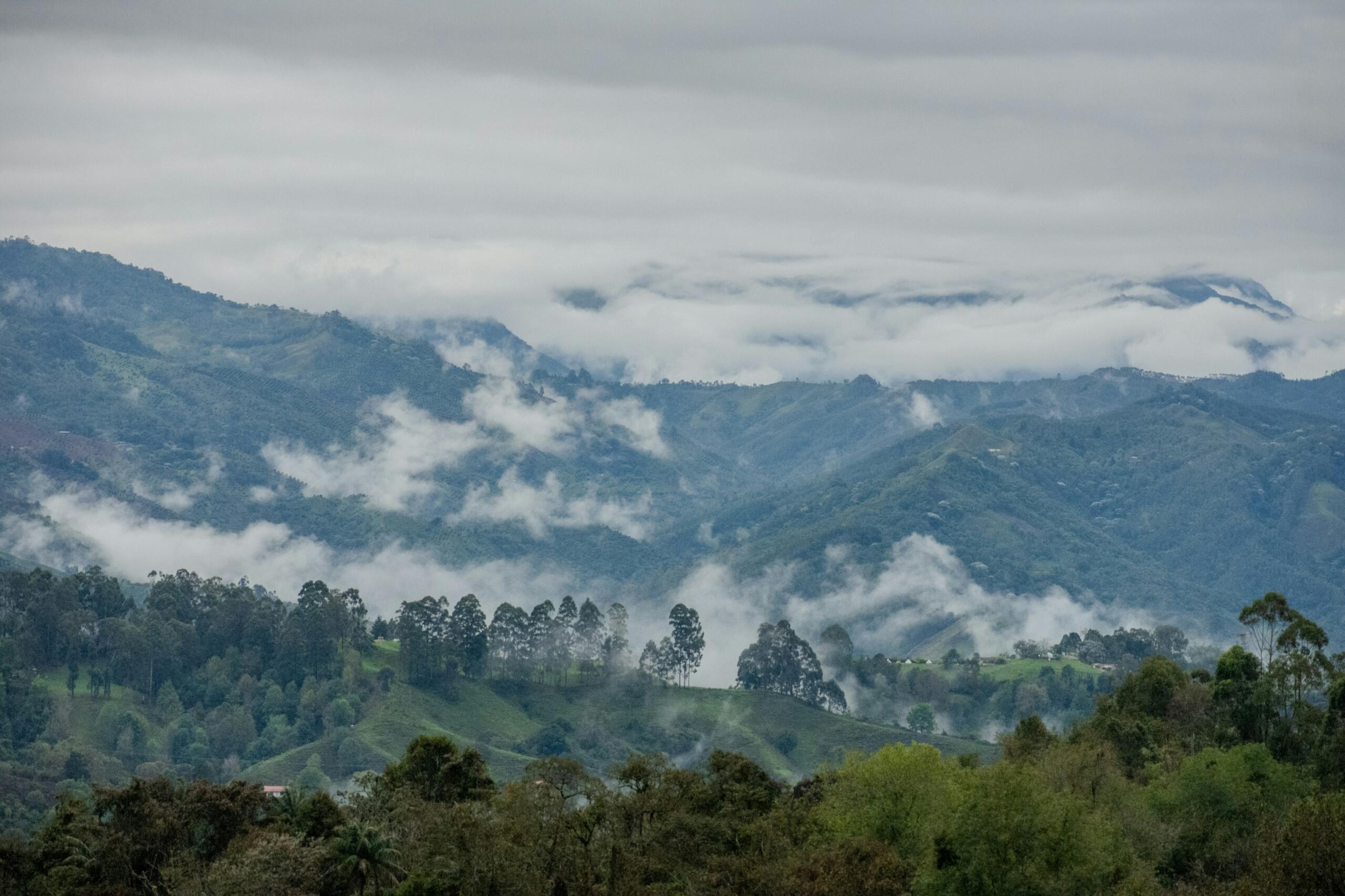 La importancia de los pueblos indígenas en Colombia