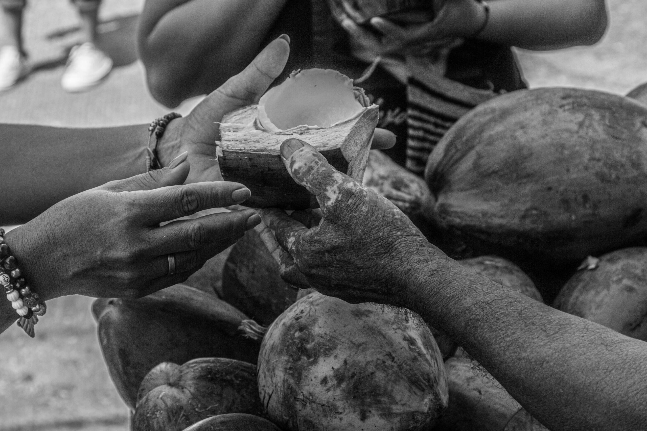 Tradiciones y conocimientos ancestrales