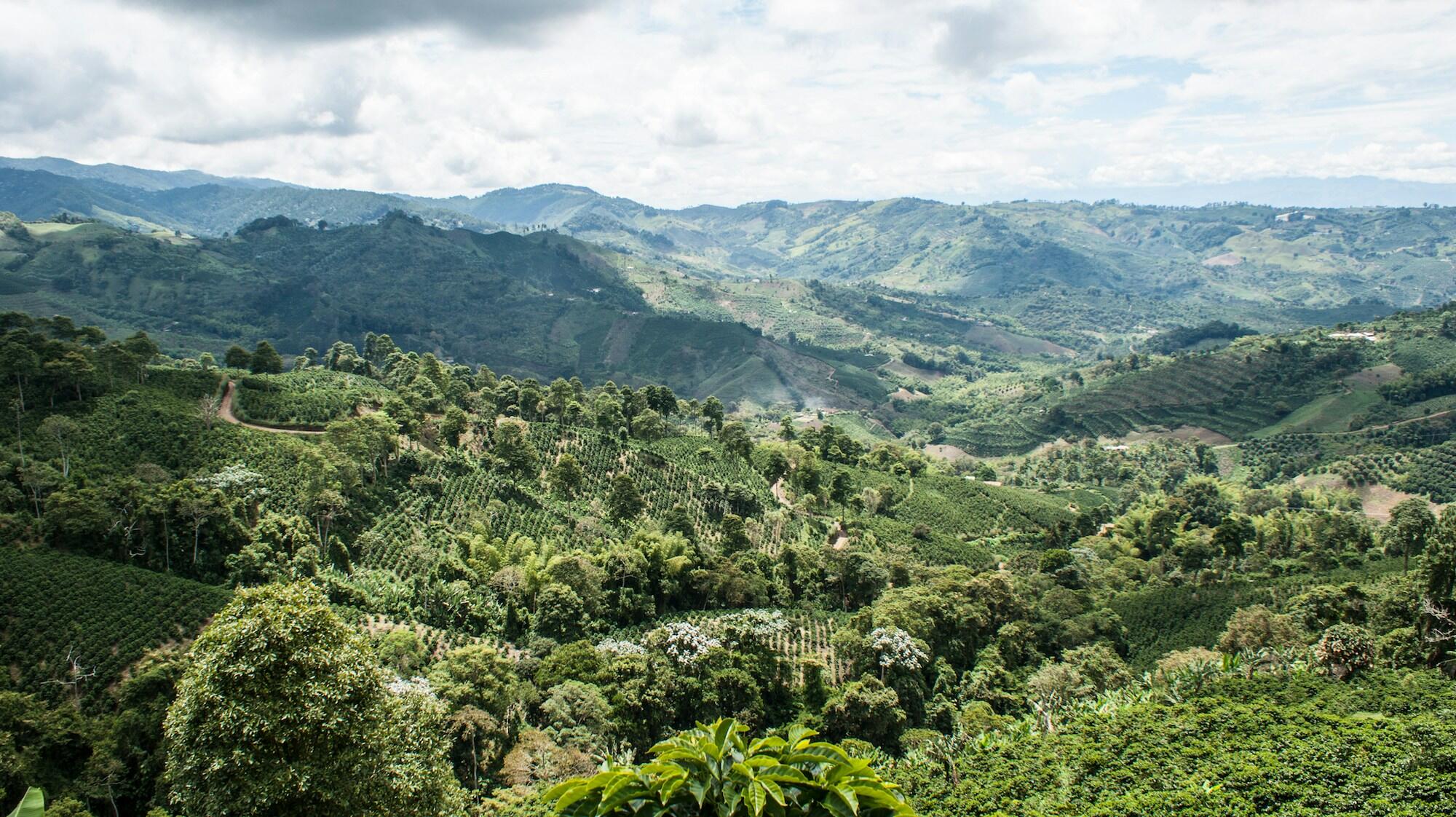 ¿Qué representa La Patasola en la cultura colombiana?