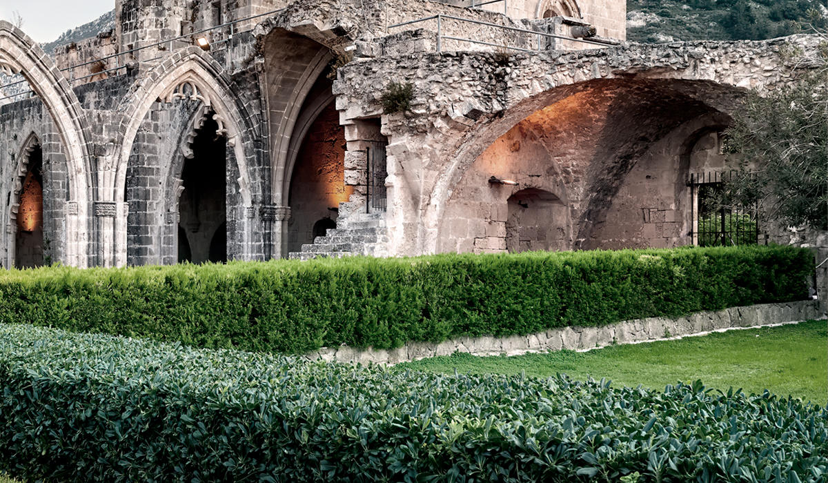 Mendel identificó una oportunidad única para comenzar estudios genéticos innovadores