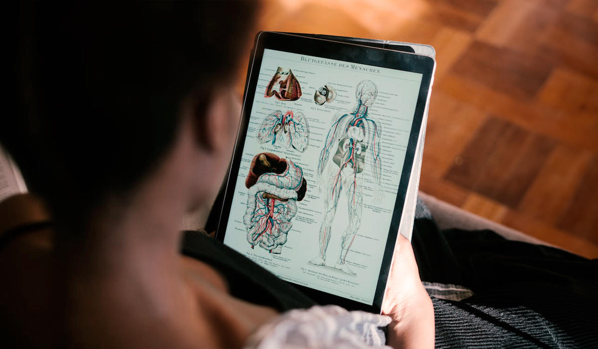 El legado de Galeno en la comprensión de la anatomía humana fue fundamental, sus estudios revolucionaron nuestra visión sobre el funcionamiento del cuerpo