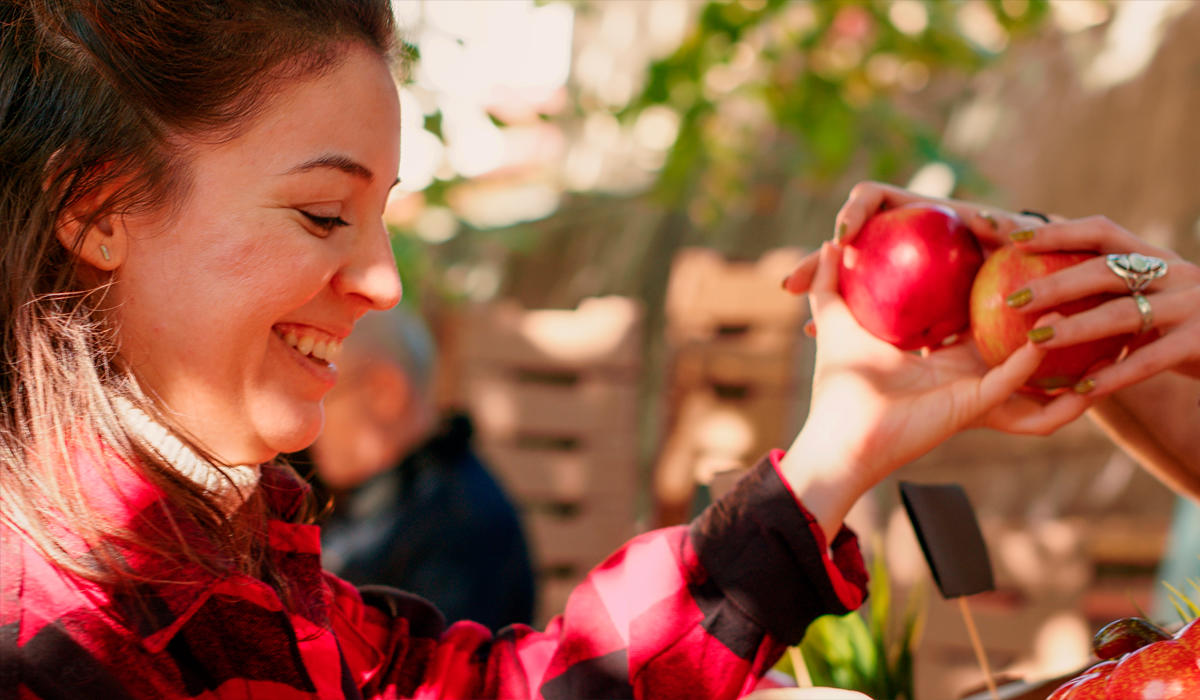 Menús vegetarianos completos: nutrición y sabor en cada comida.