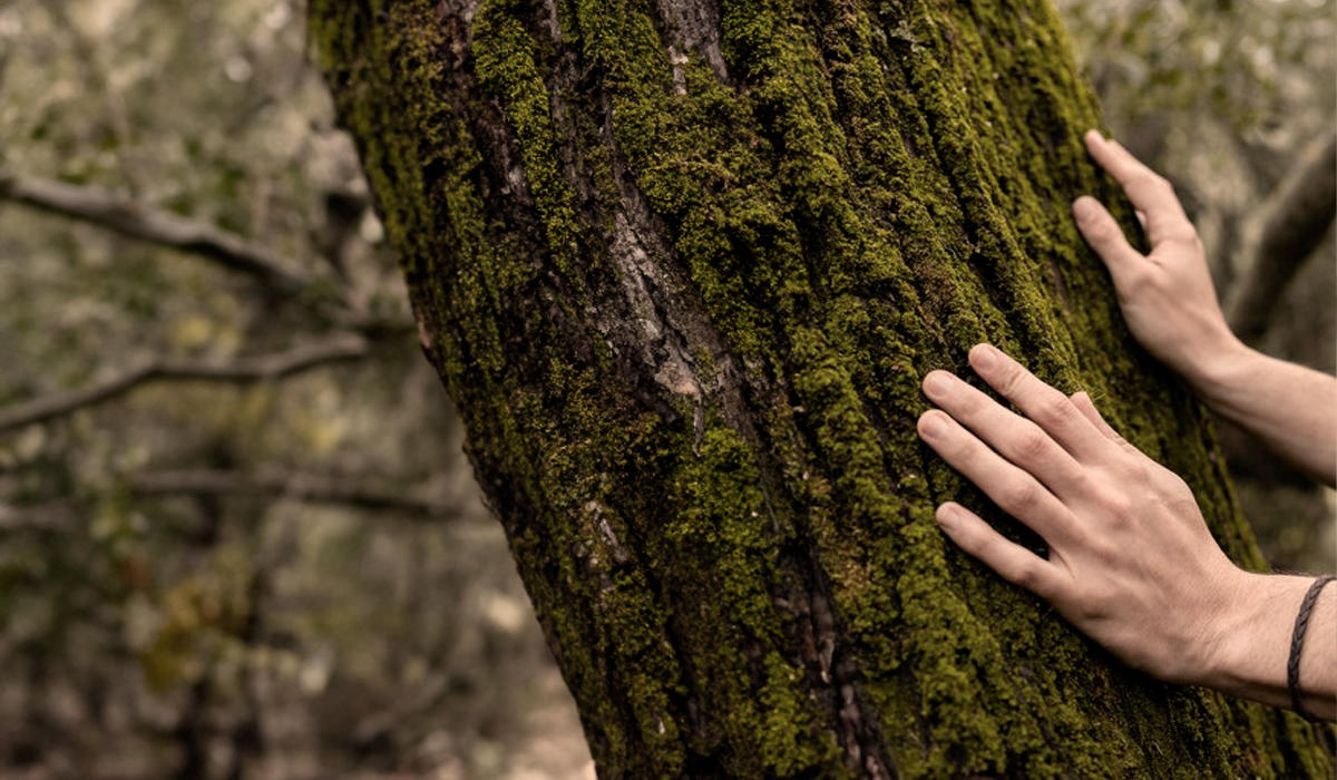 Muchas de las terapias de Hipócrates eran basadas en los poderes curativos de la naturaleza: ingerir ciertas plantas, descansar lo suficiente y beber agua limpia