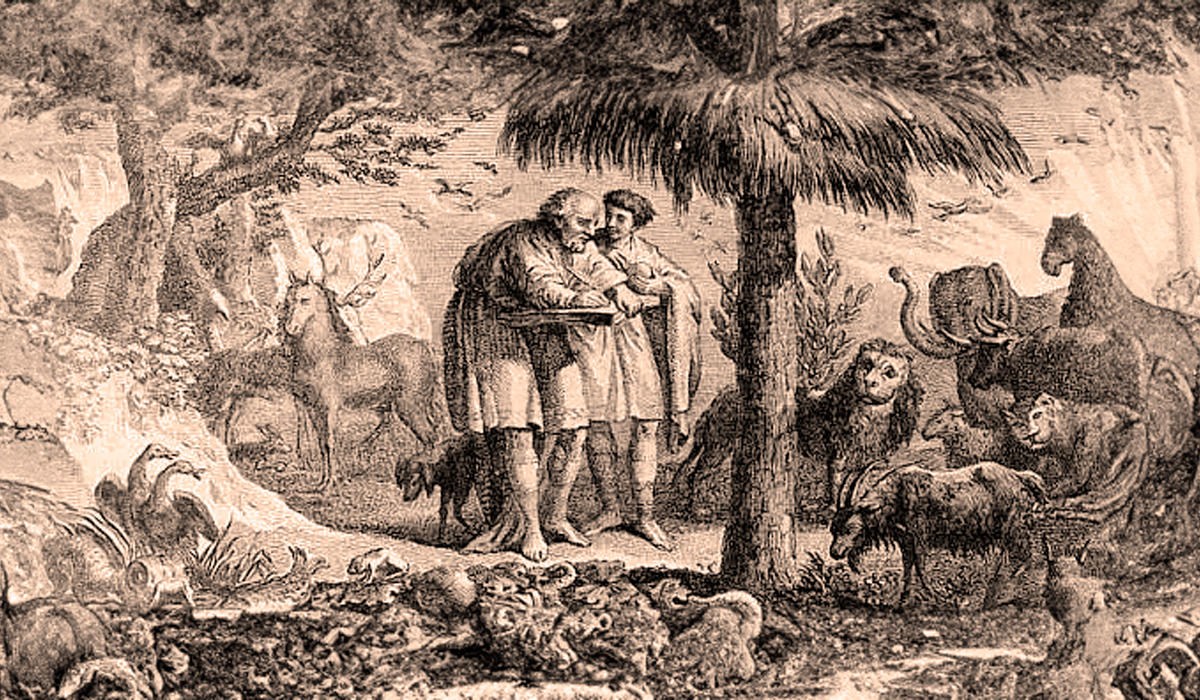 Dejando a un lado la teología y aplicando la razón, Aristóteles fue el primero que clasificó a los seres en 11 grupos diferentes