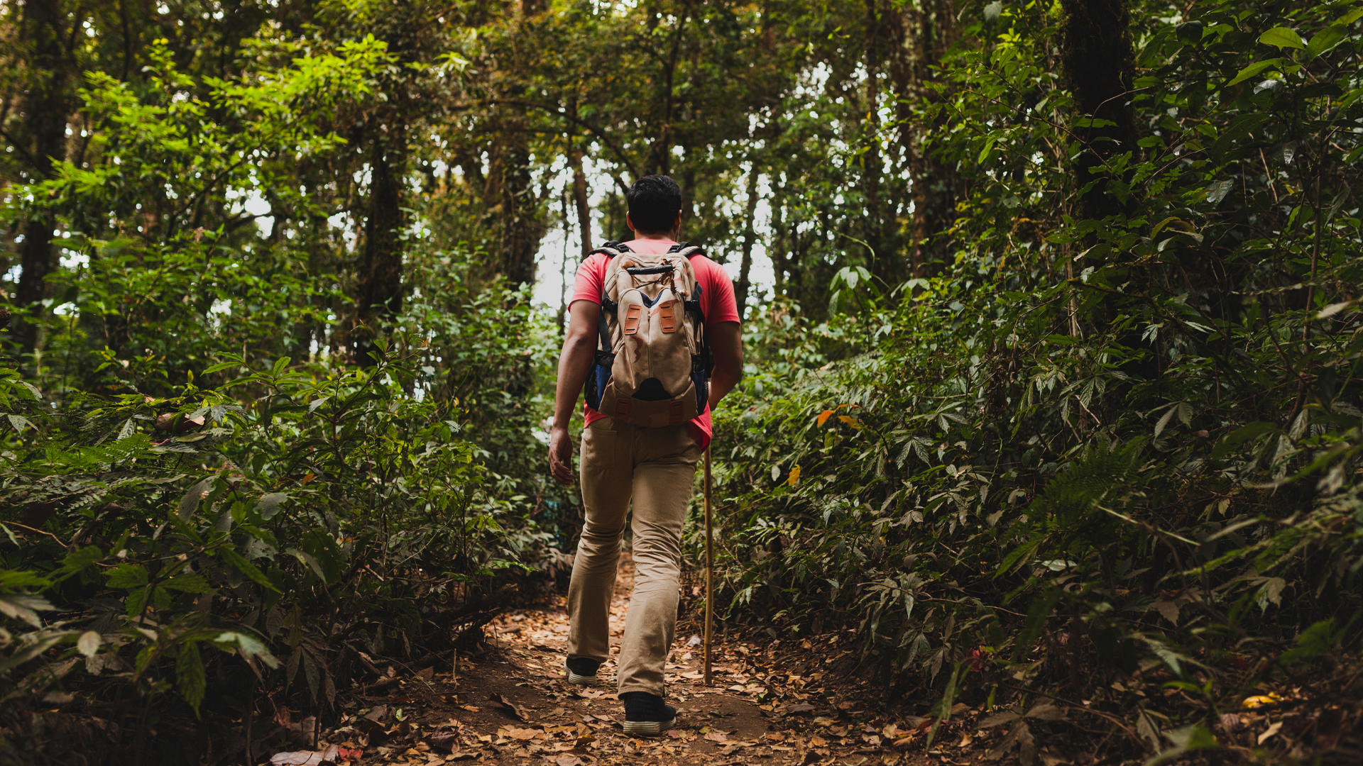 Descubre el trekking en Costa Rica junto al entrenamiento personal.