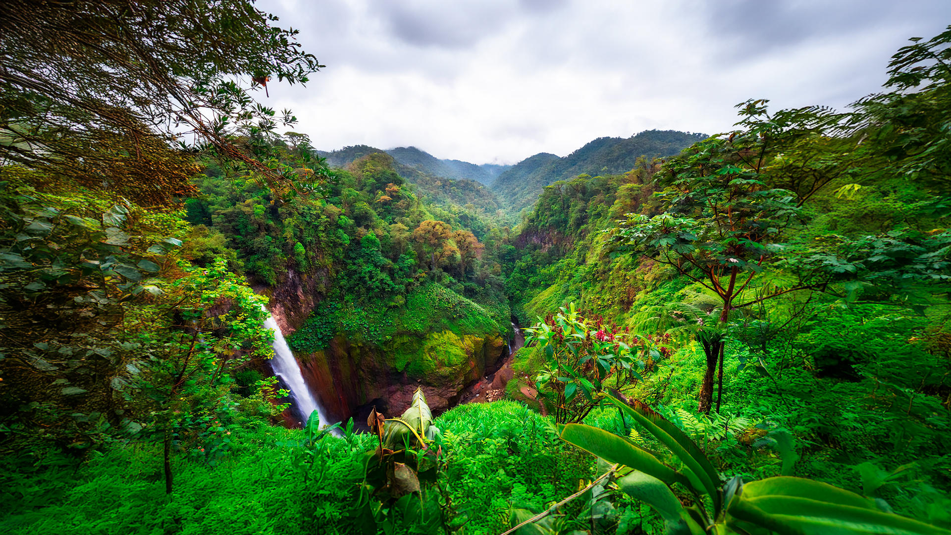 Las mejores rutas de trekking en Alajuela te esperan