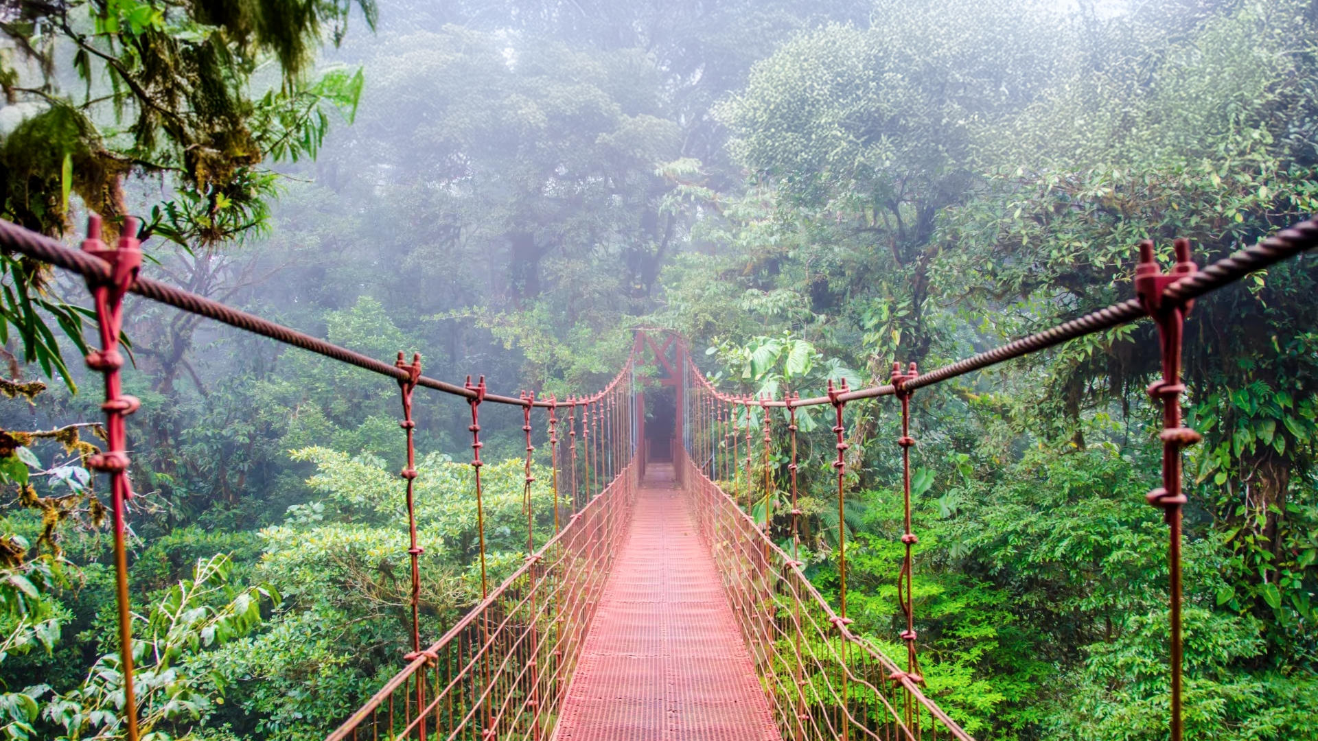 ¡Prepara tu equipo y aventurémonos a descubrir los mejores senderos de Puntarenas!