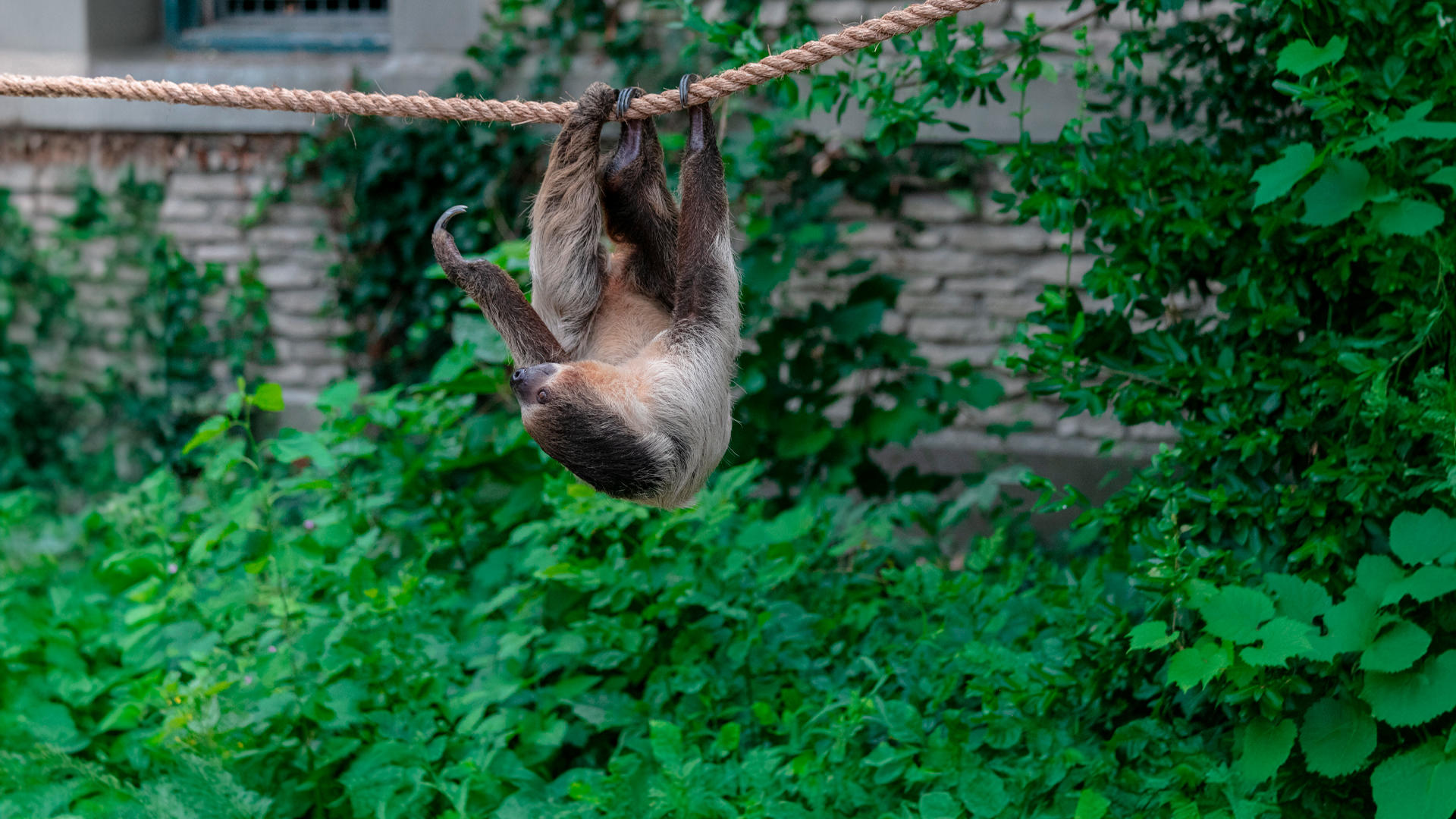 Senderismo en Guanacaste: explorando las mejores rutas de trekking.