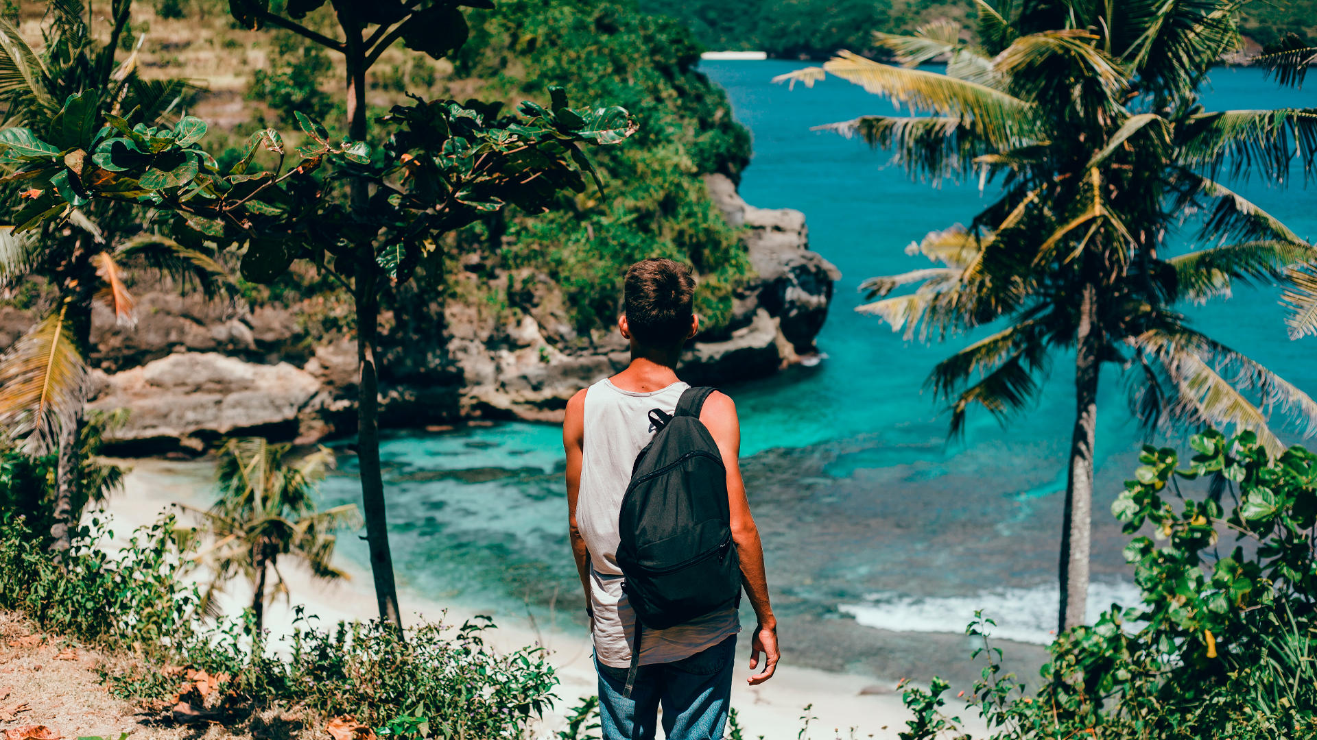 Senderismo en Limón: explorando la belleza natural entre selva y mar.