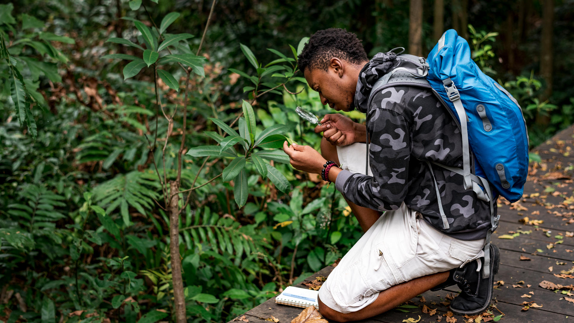 ¡No lo pienses más! Empezá a planear tu escapada a Limón
