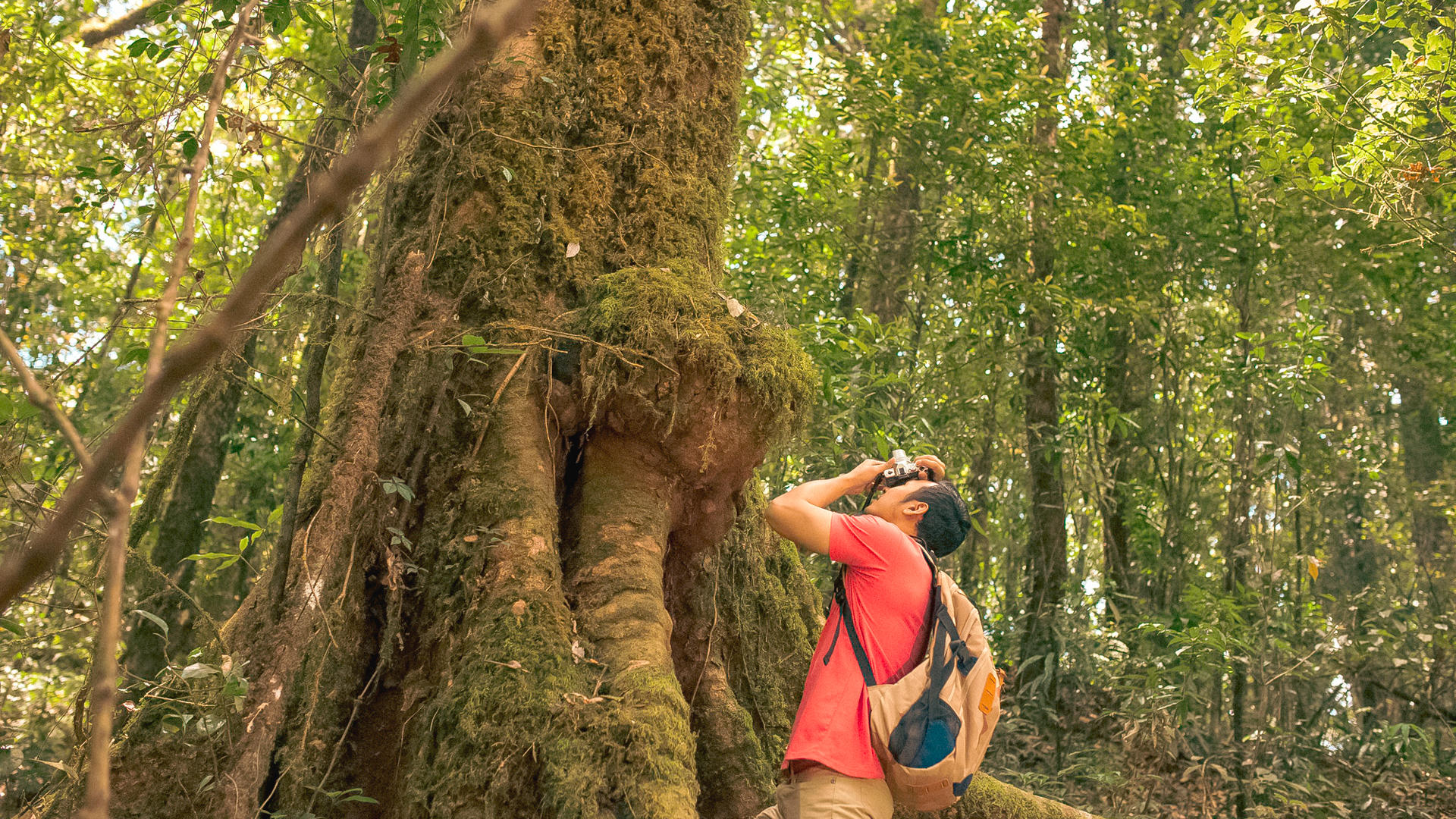 Fotografos Costa Rica: prácticas recomendadas en Alajuela y sus alrededores.