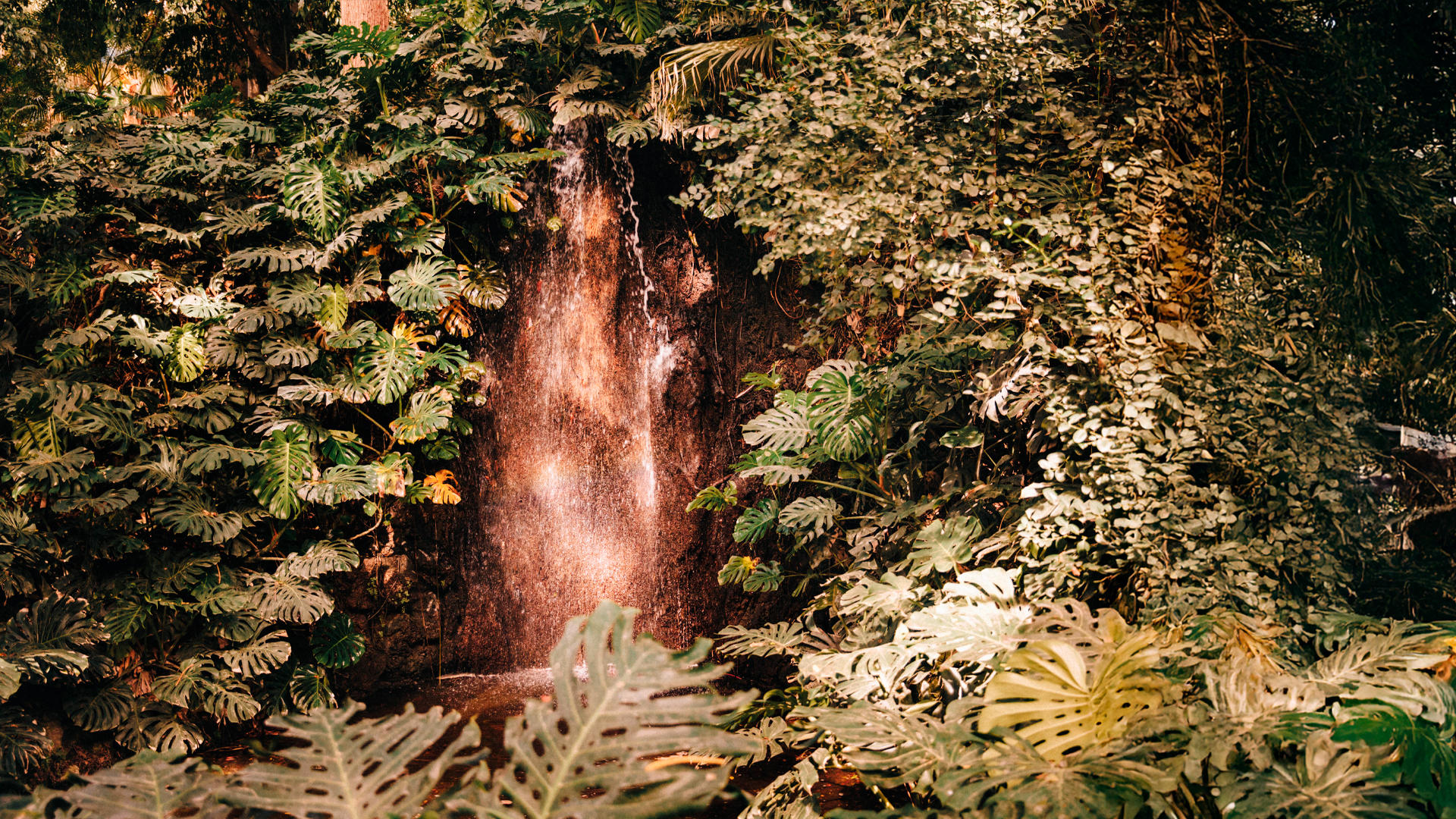 Fotografía paisaje: captura la esencia de la naturaleza en Puntarenas.