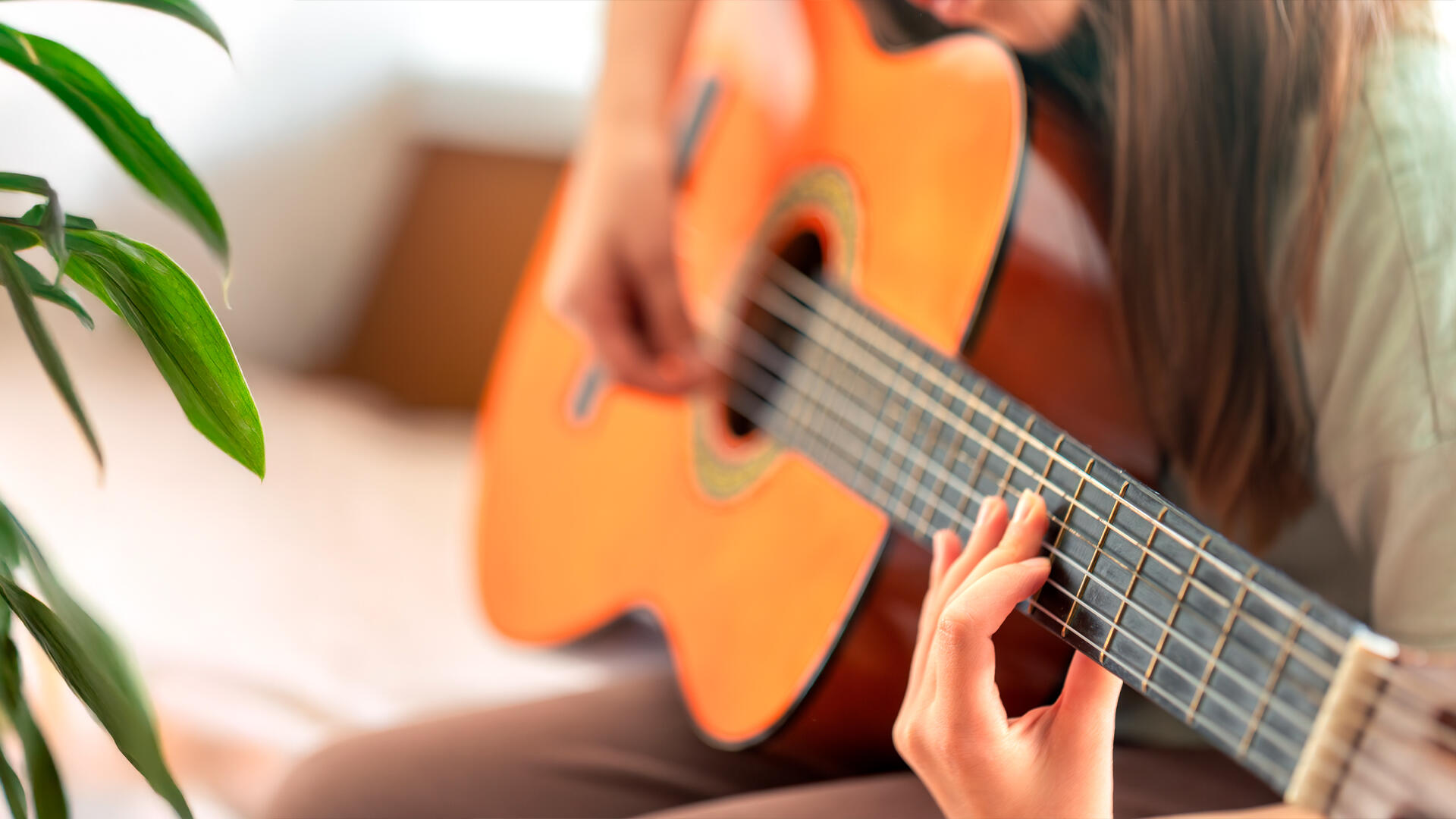 Precio de las guitarras acústicas y consejos para personalizar tu instrumento.