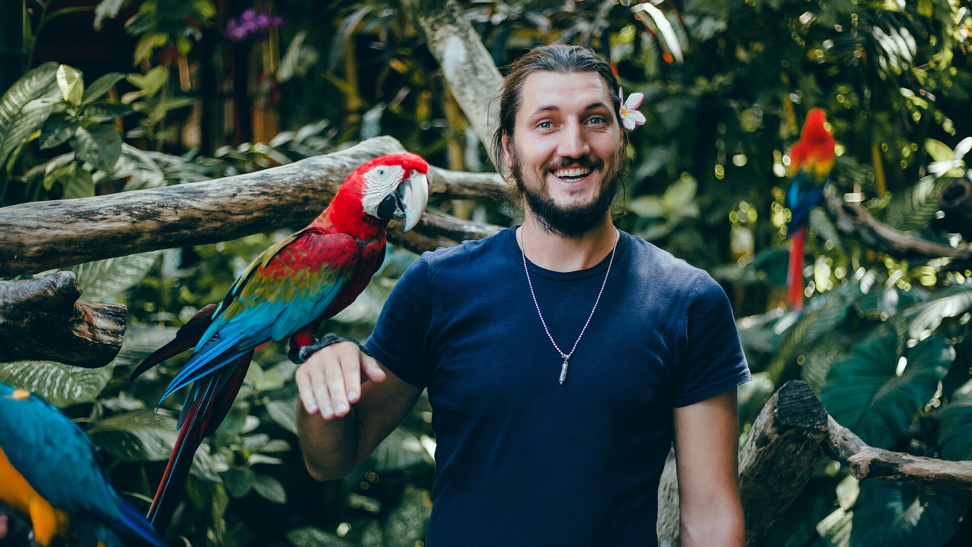 Naturaleza en inglés: la importancia del dominio del vocabulario.